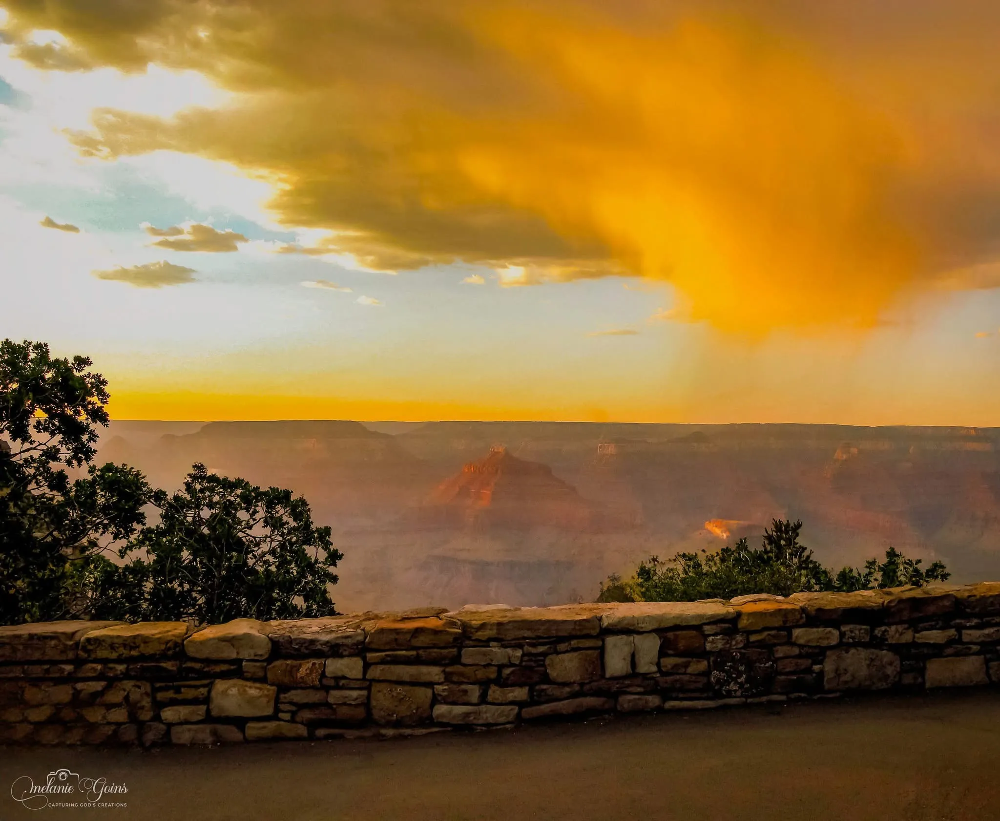 A View of the Grand Canyon….