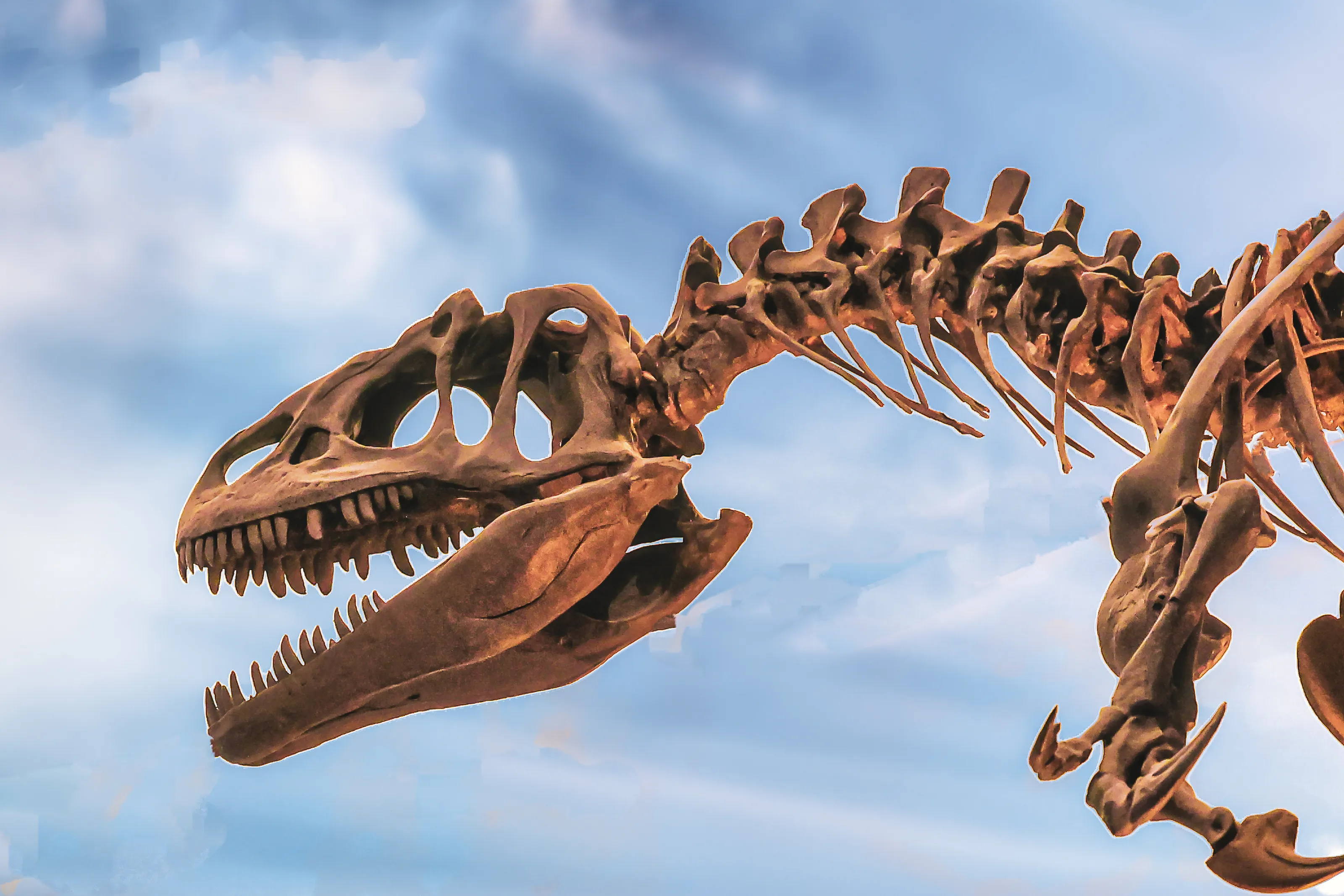 All Things Dinosaur