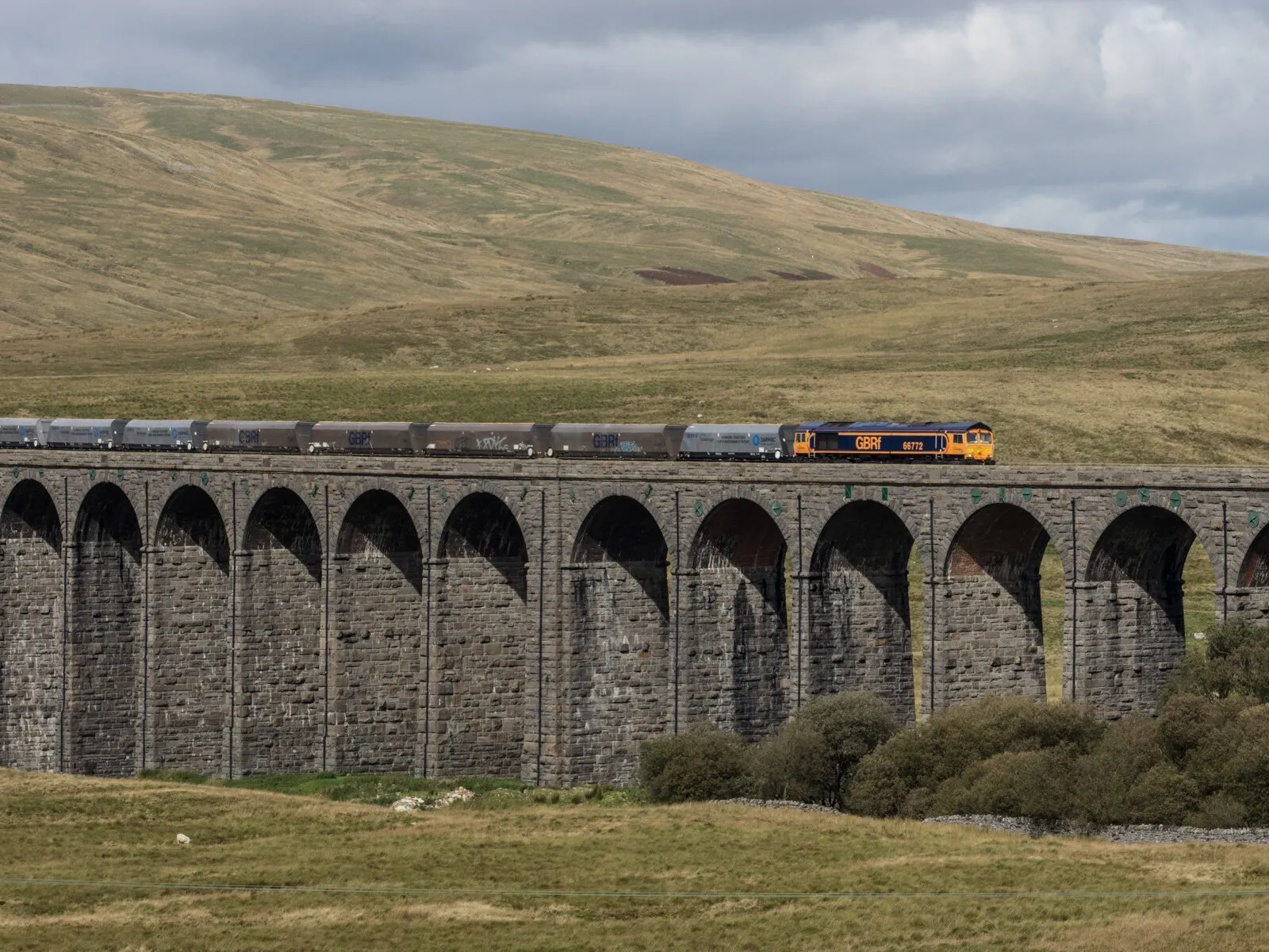 Diesel Trains