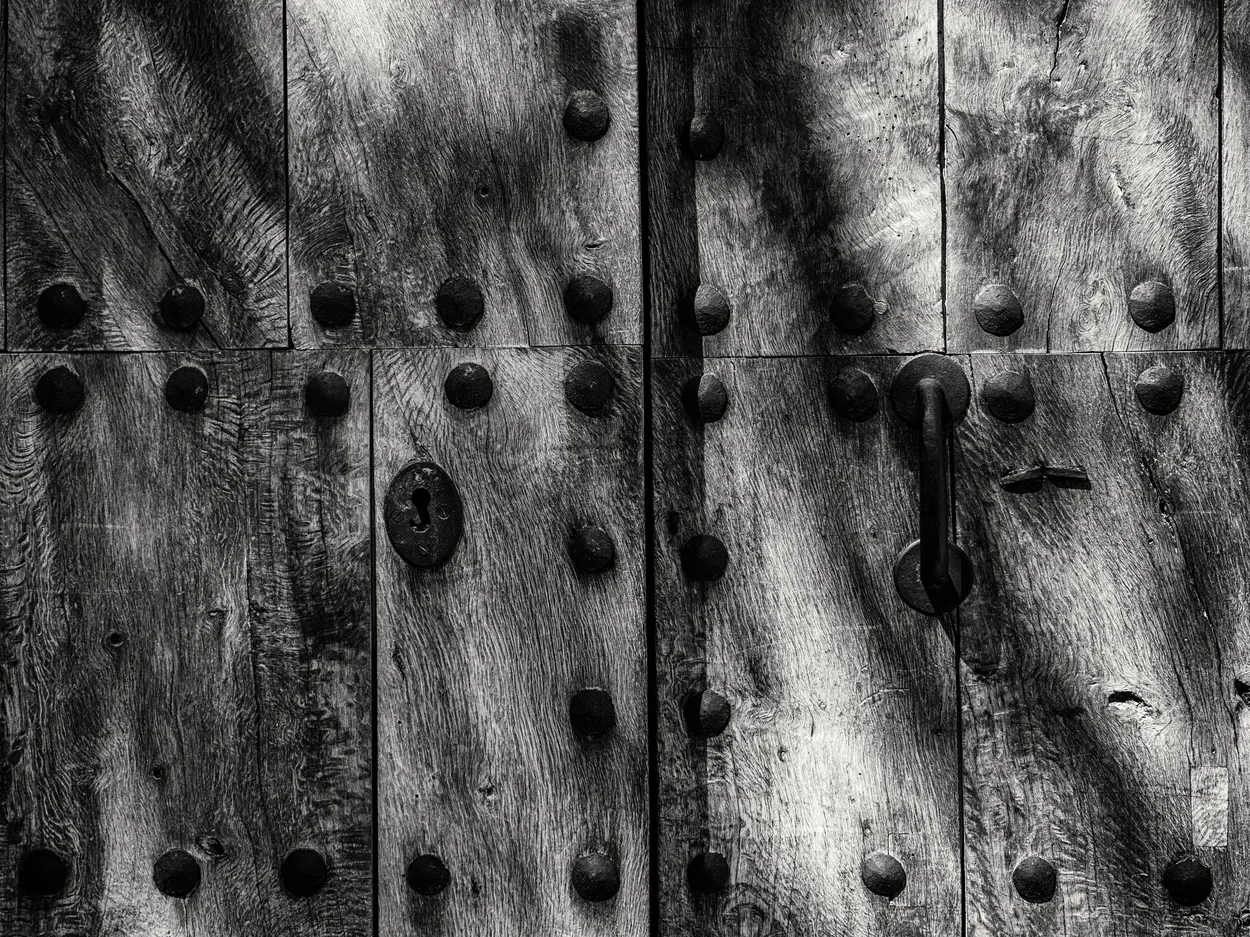 Entry 21261297