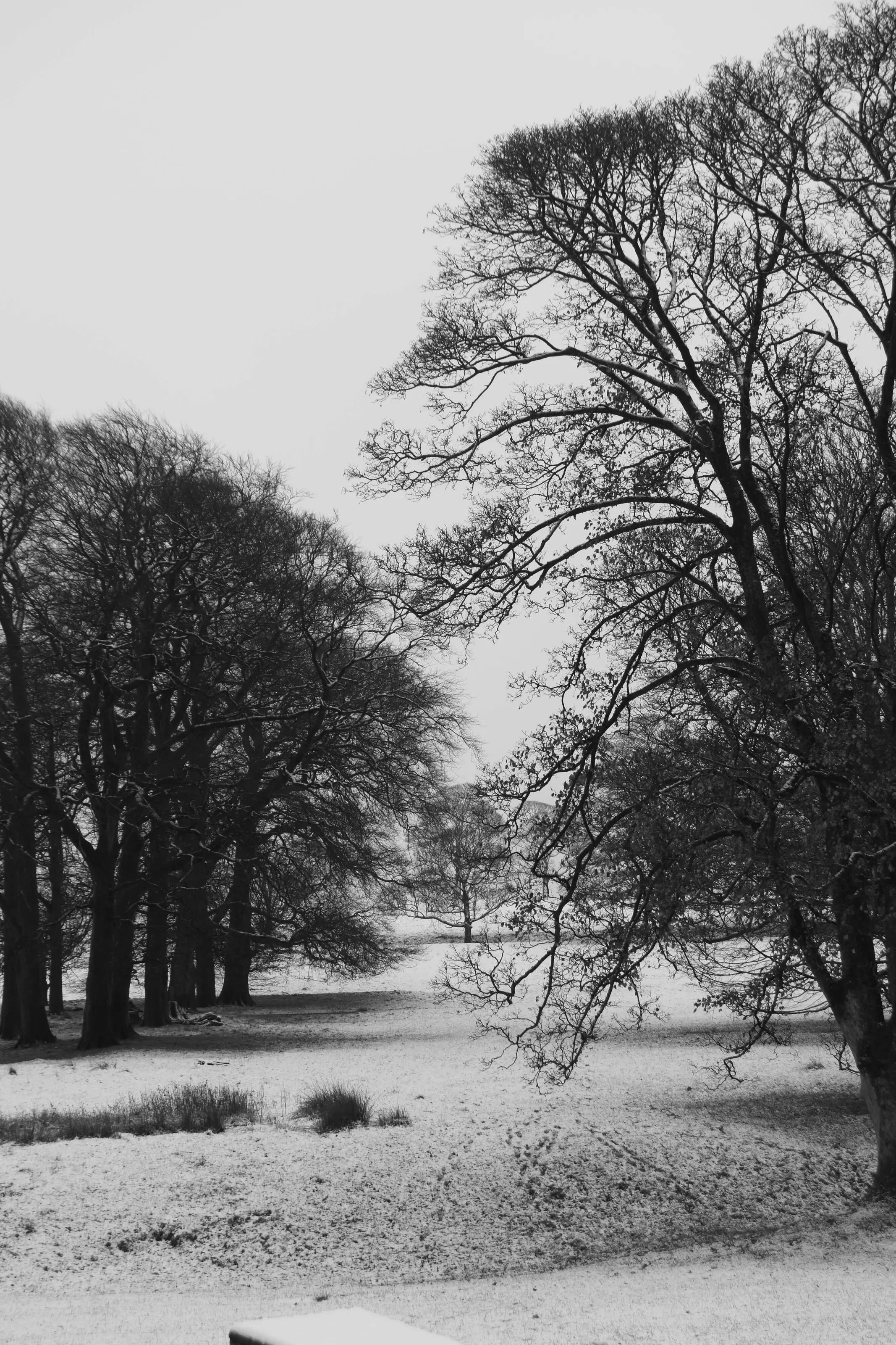 Lyme Park