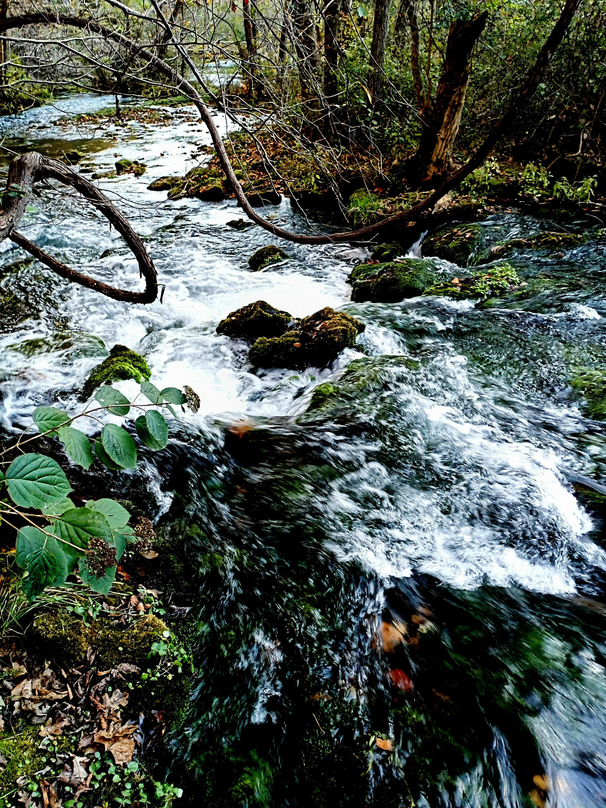 Creek