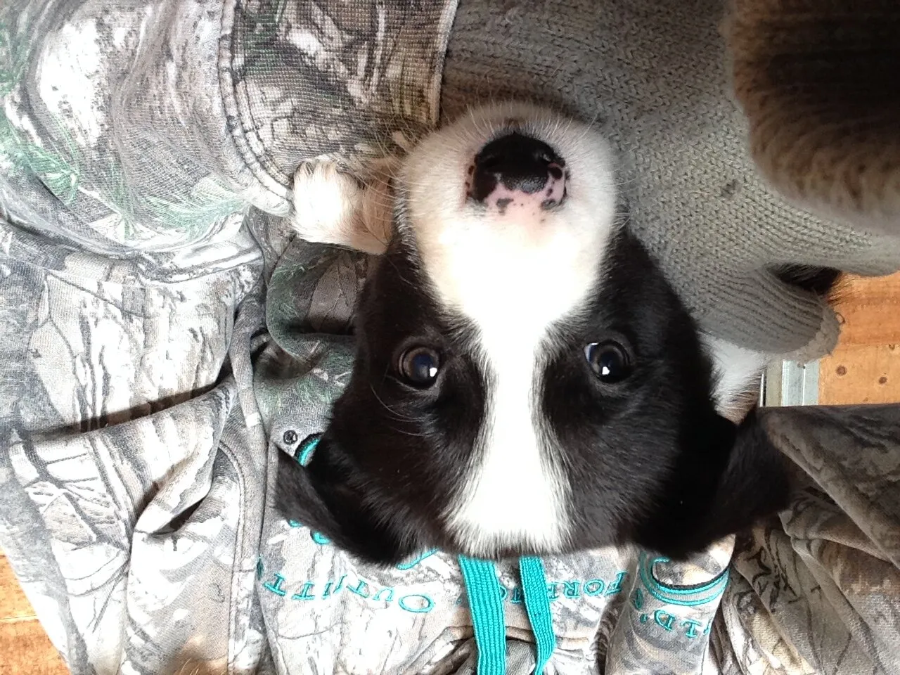 Snuggled up on a cold hard working day