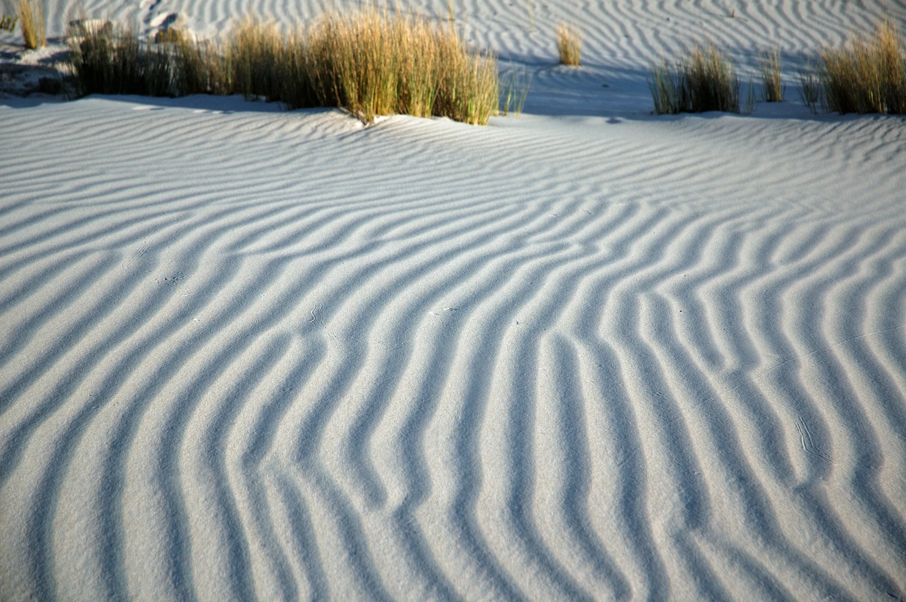 Sand Ripples