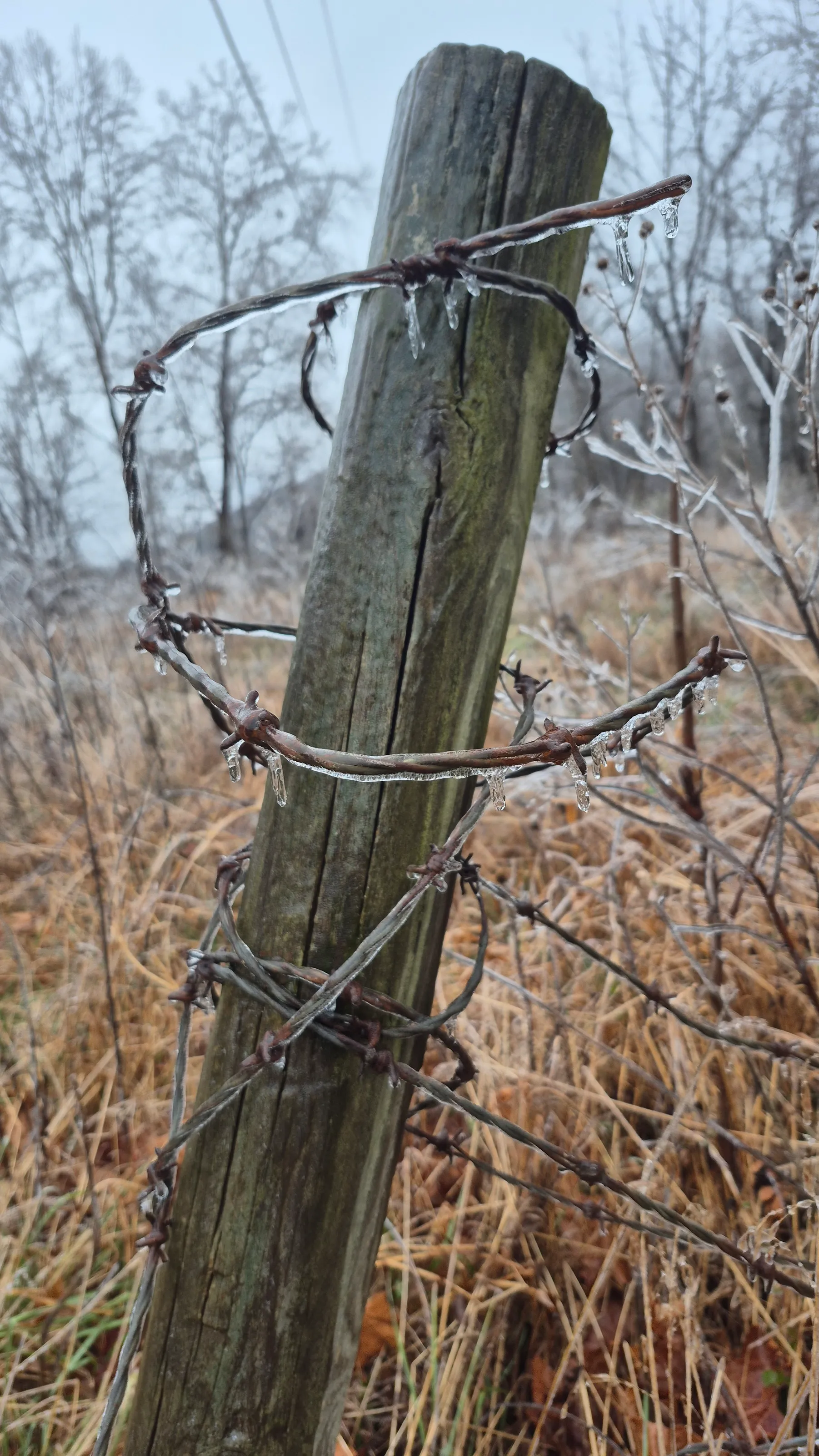 FREEZING RAIN