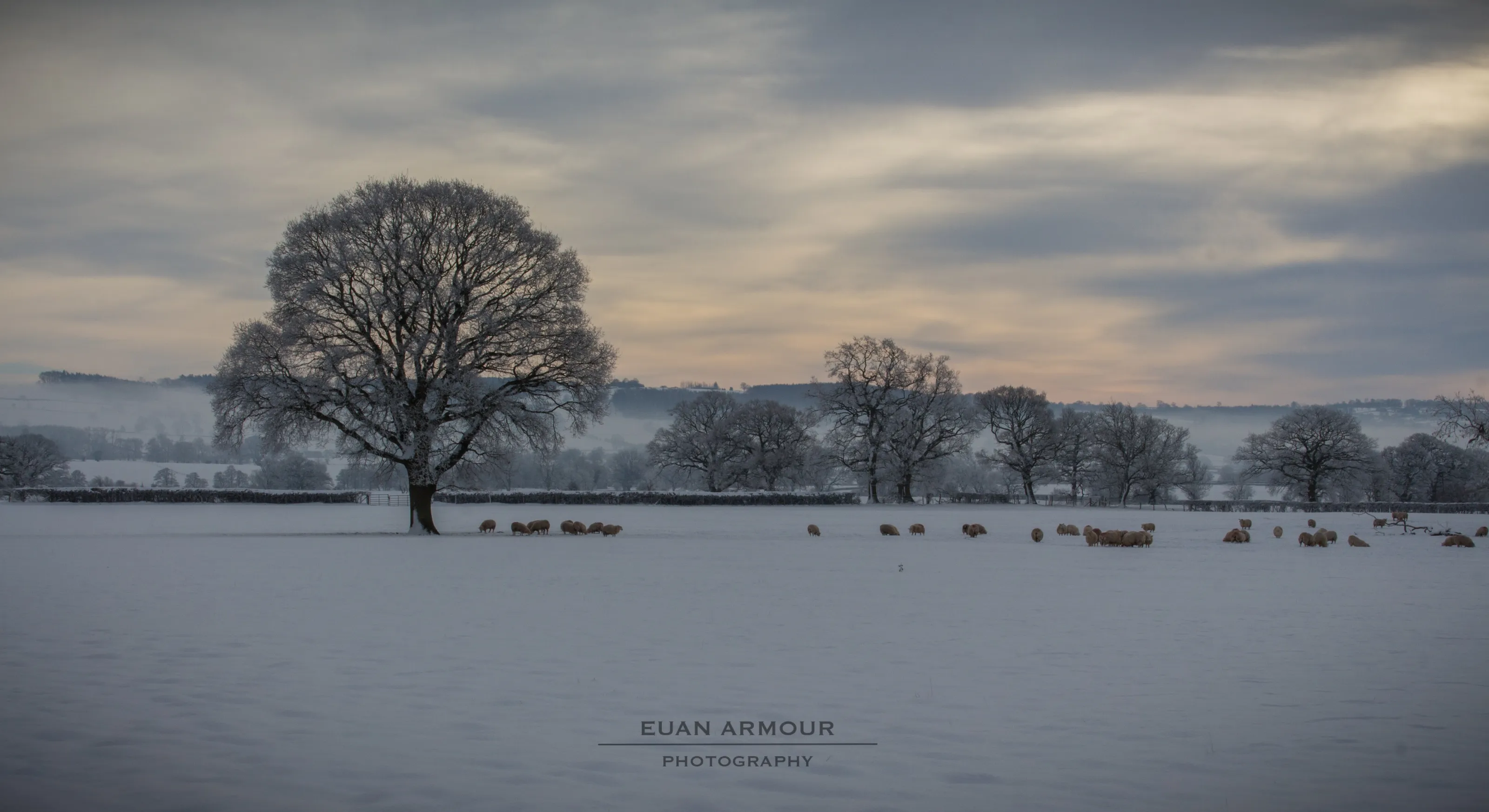 The Big Freeze, Shropshire UK