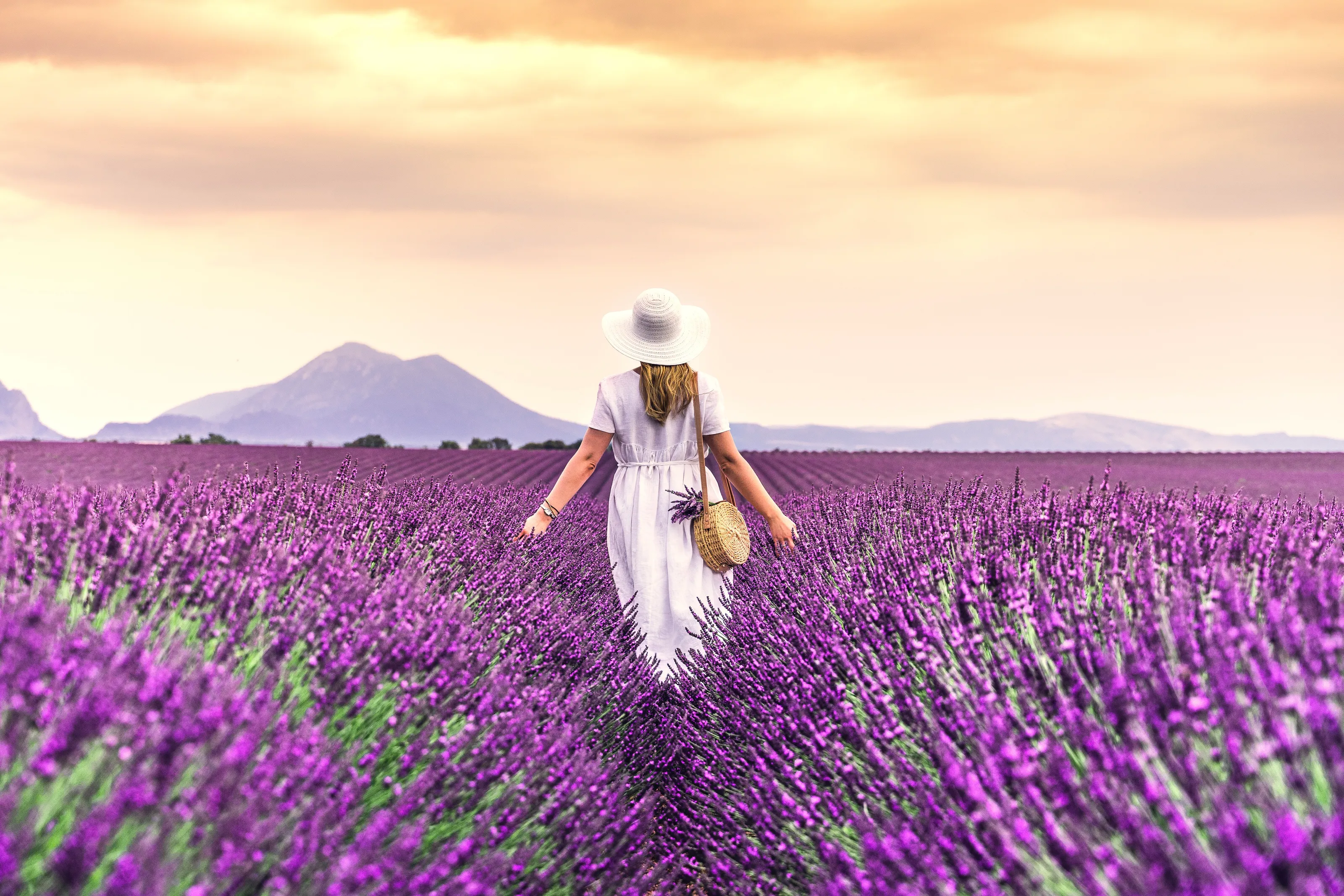 The Beauty of Fields