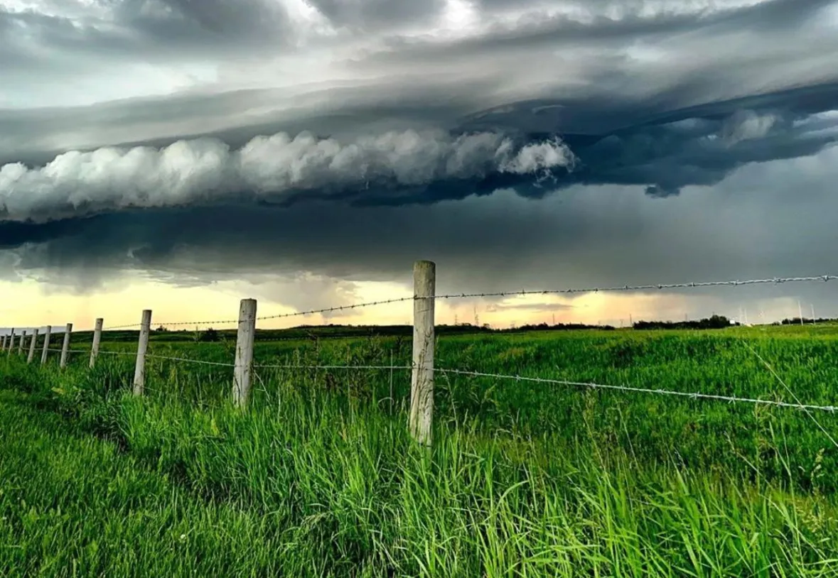 Summer storm
