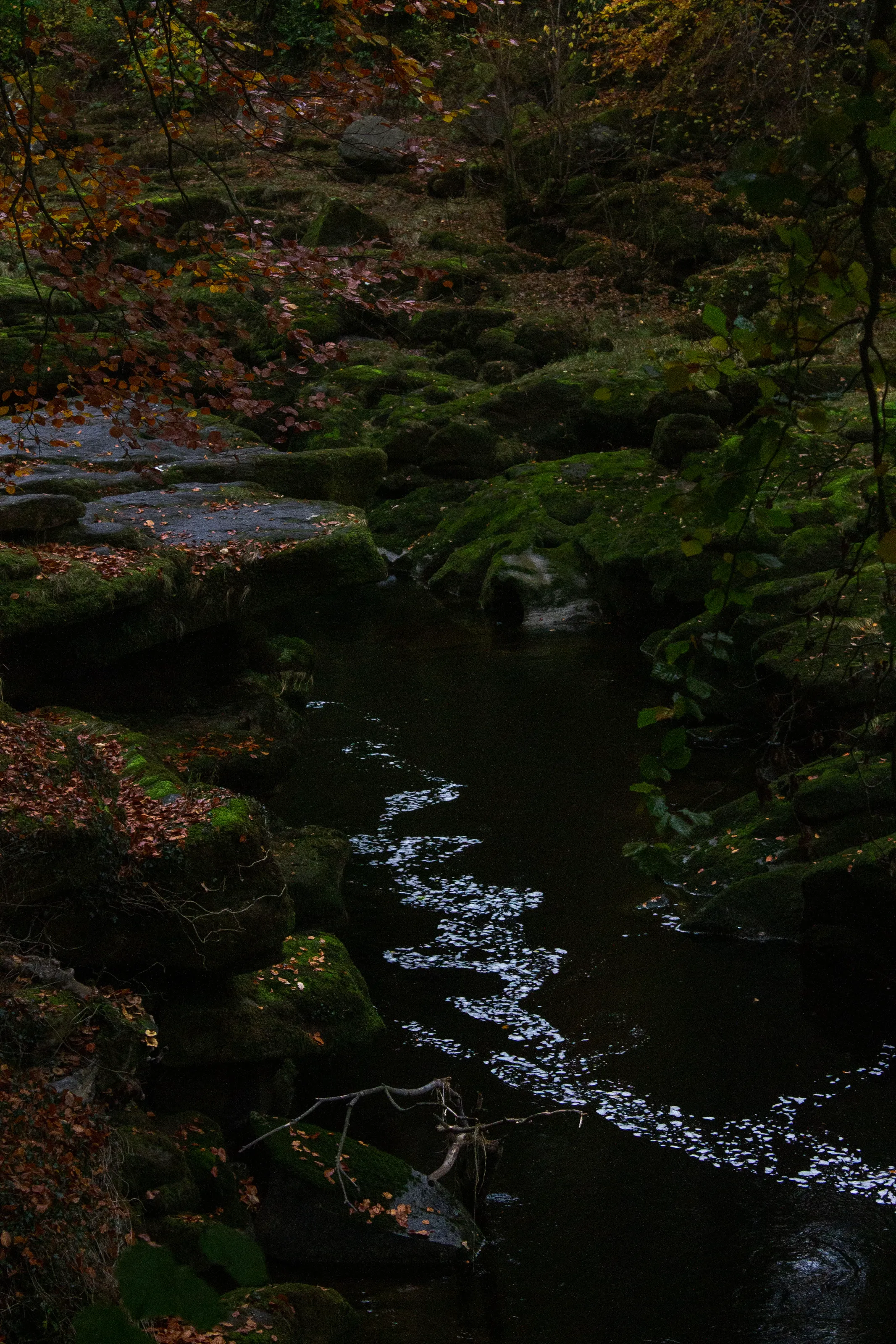The strids