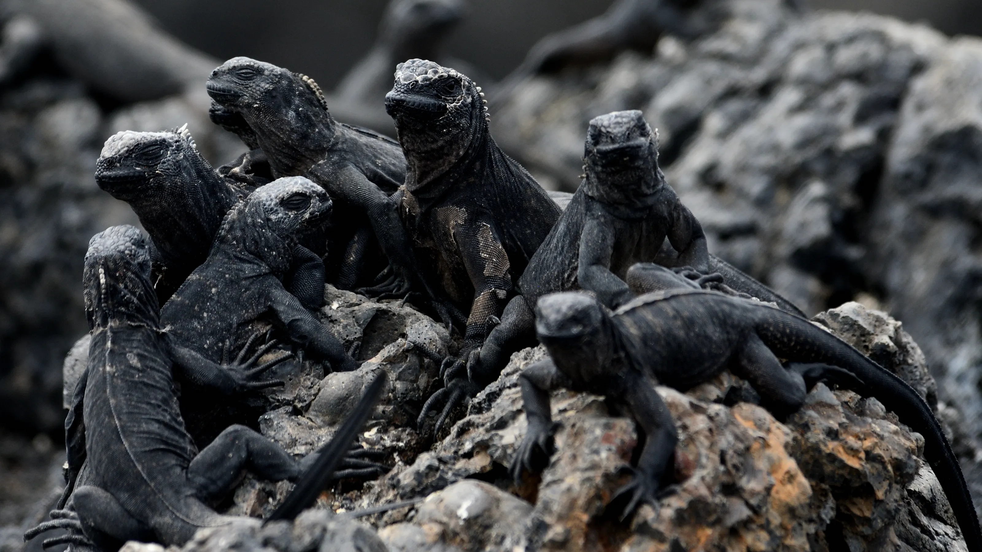 Group portrait