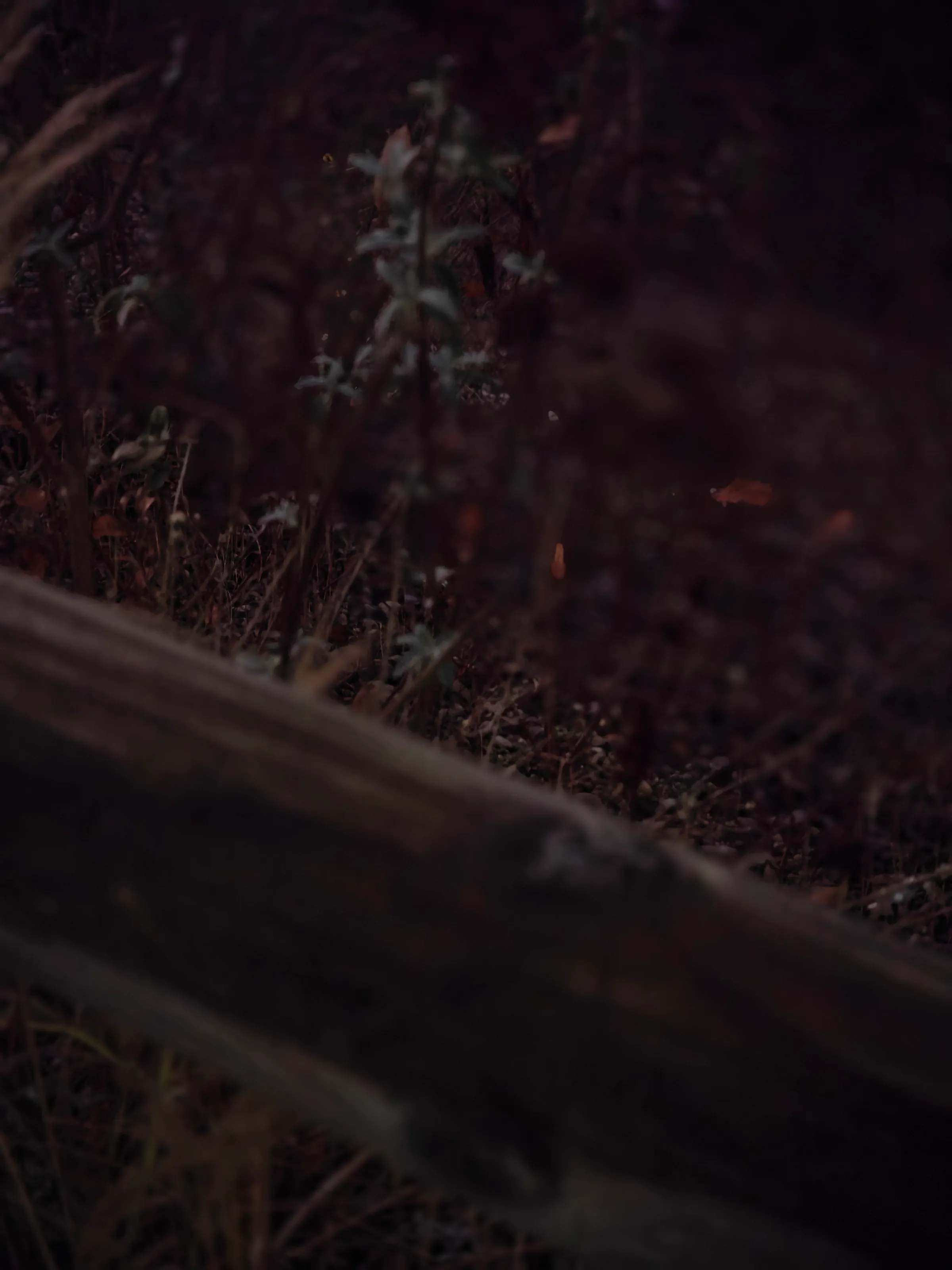 Dark botanics