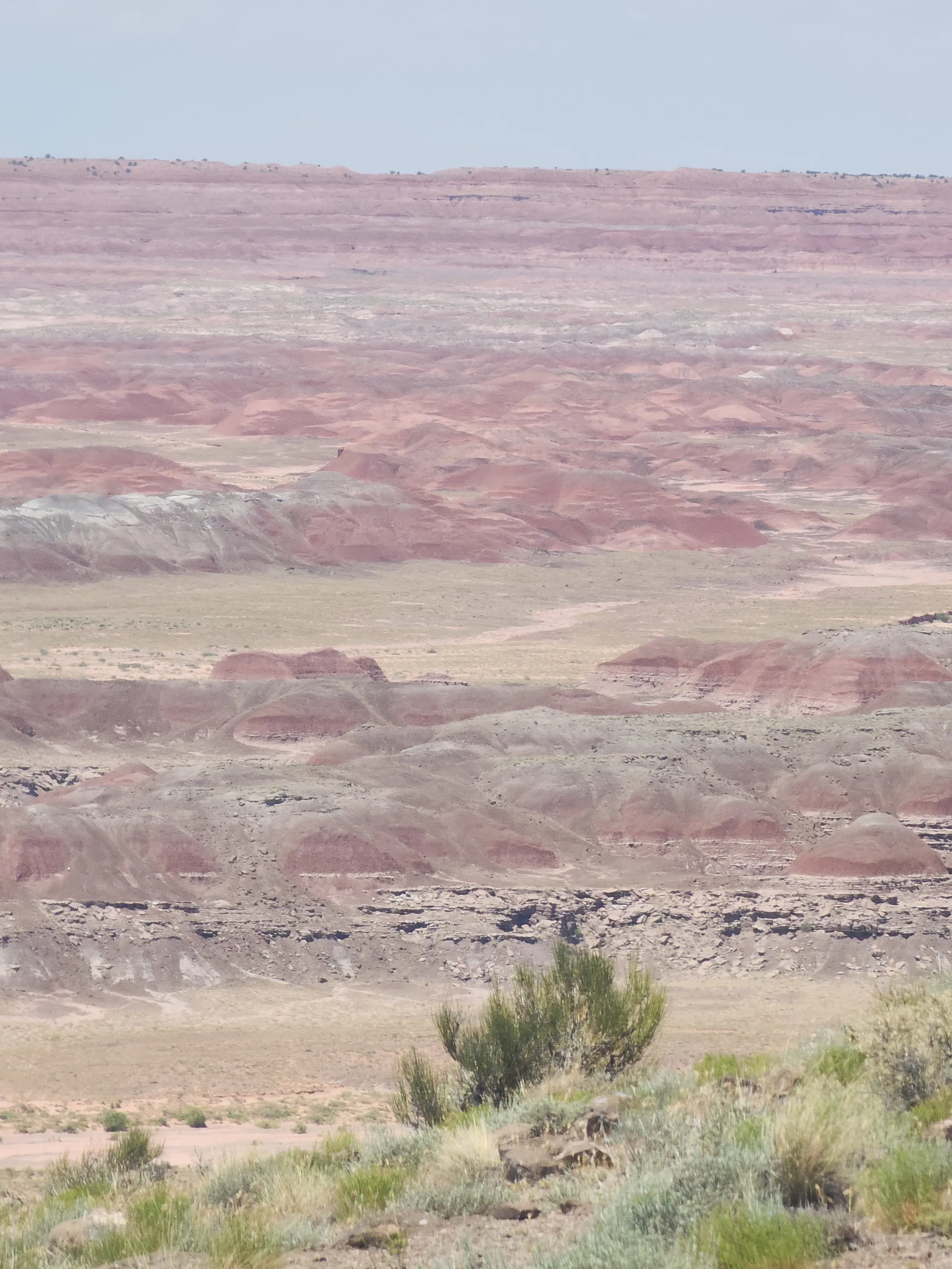 Painted Desert