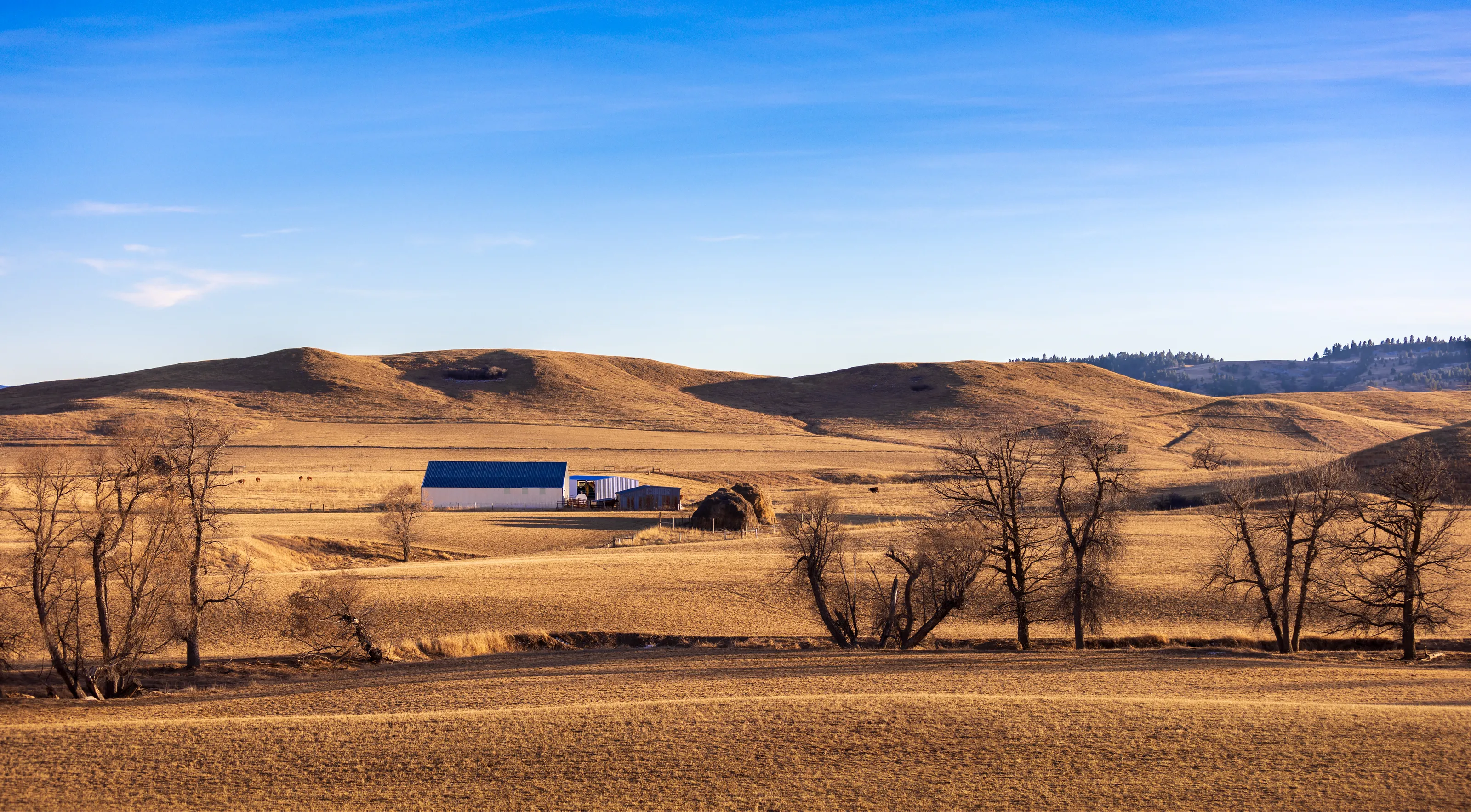 Wyoming Ranch