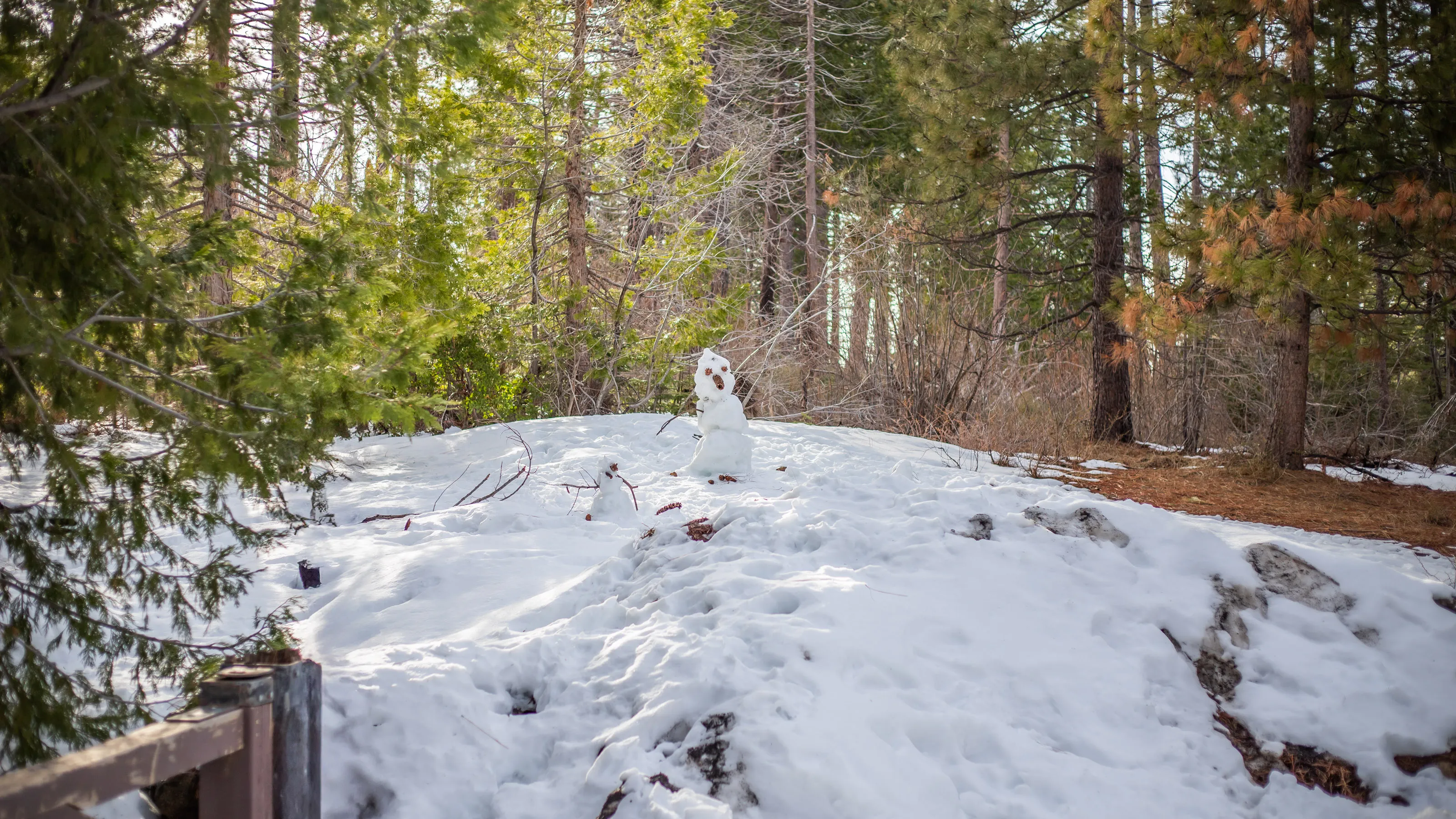 Snow in Spring