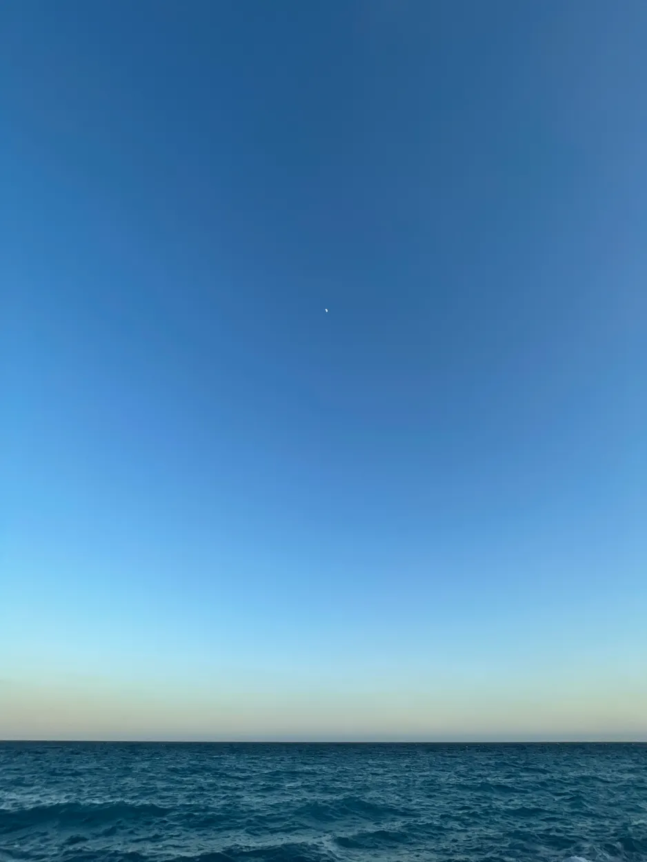 Entry 26821040