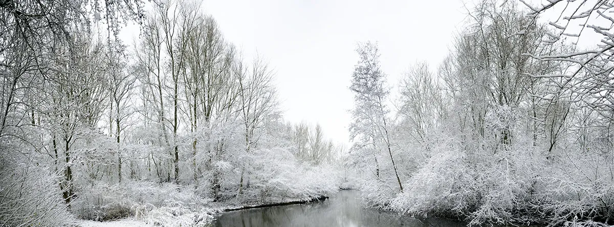 Snowy and frozen world