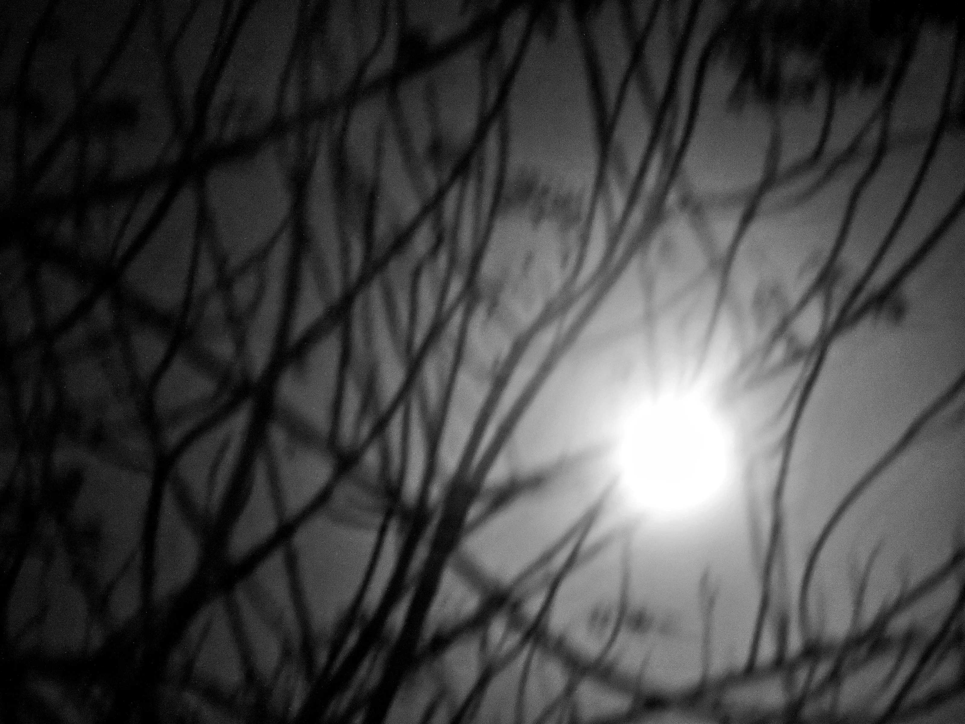 the hasty moon .