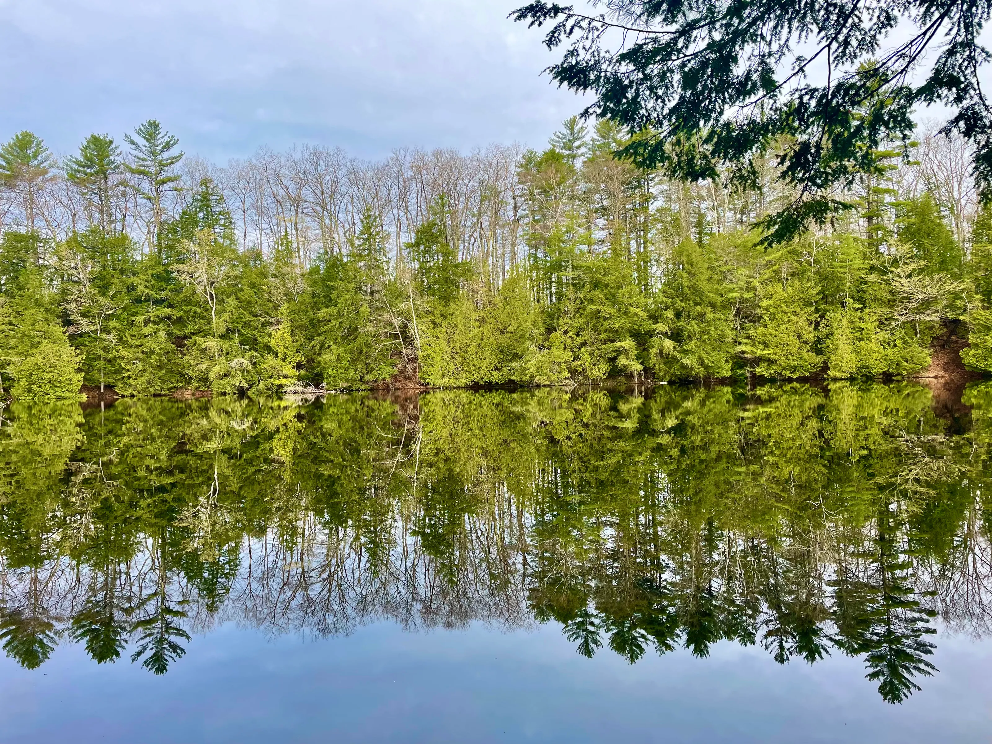 Spring reflections