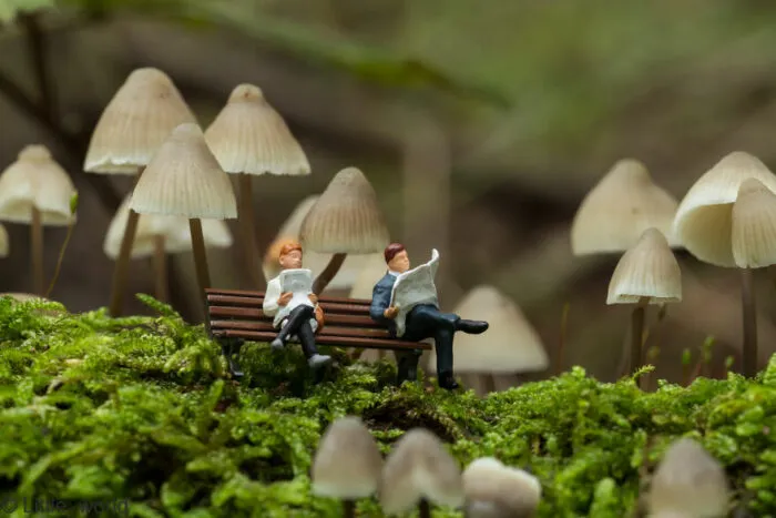 Miniature Worlds