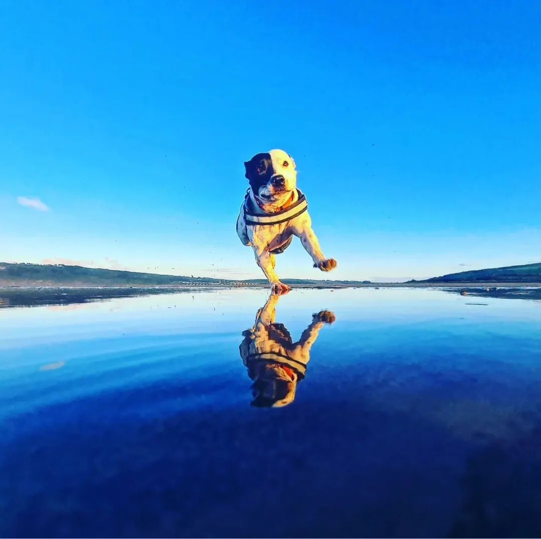Run on the beach