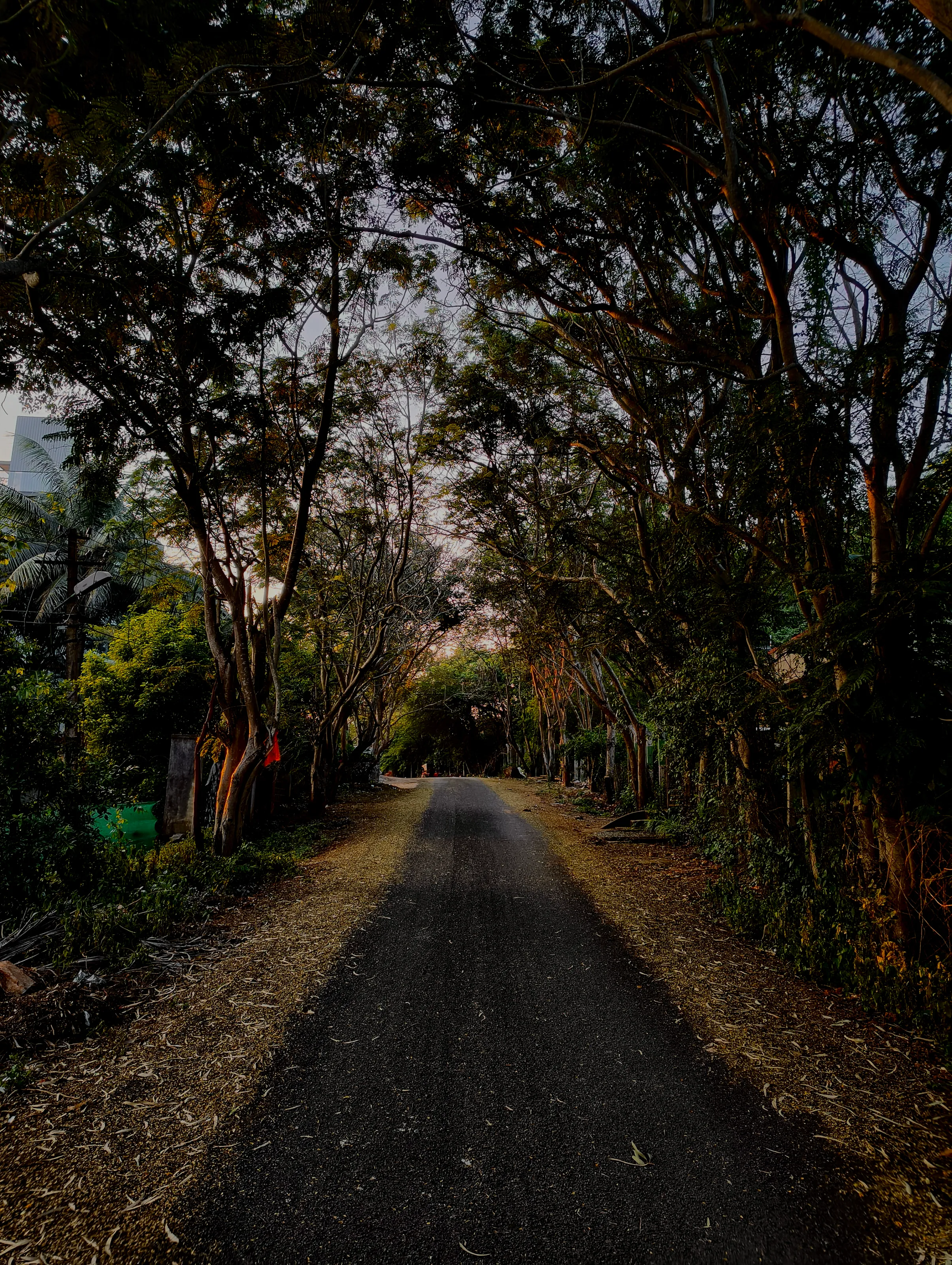 The Road To Peace