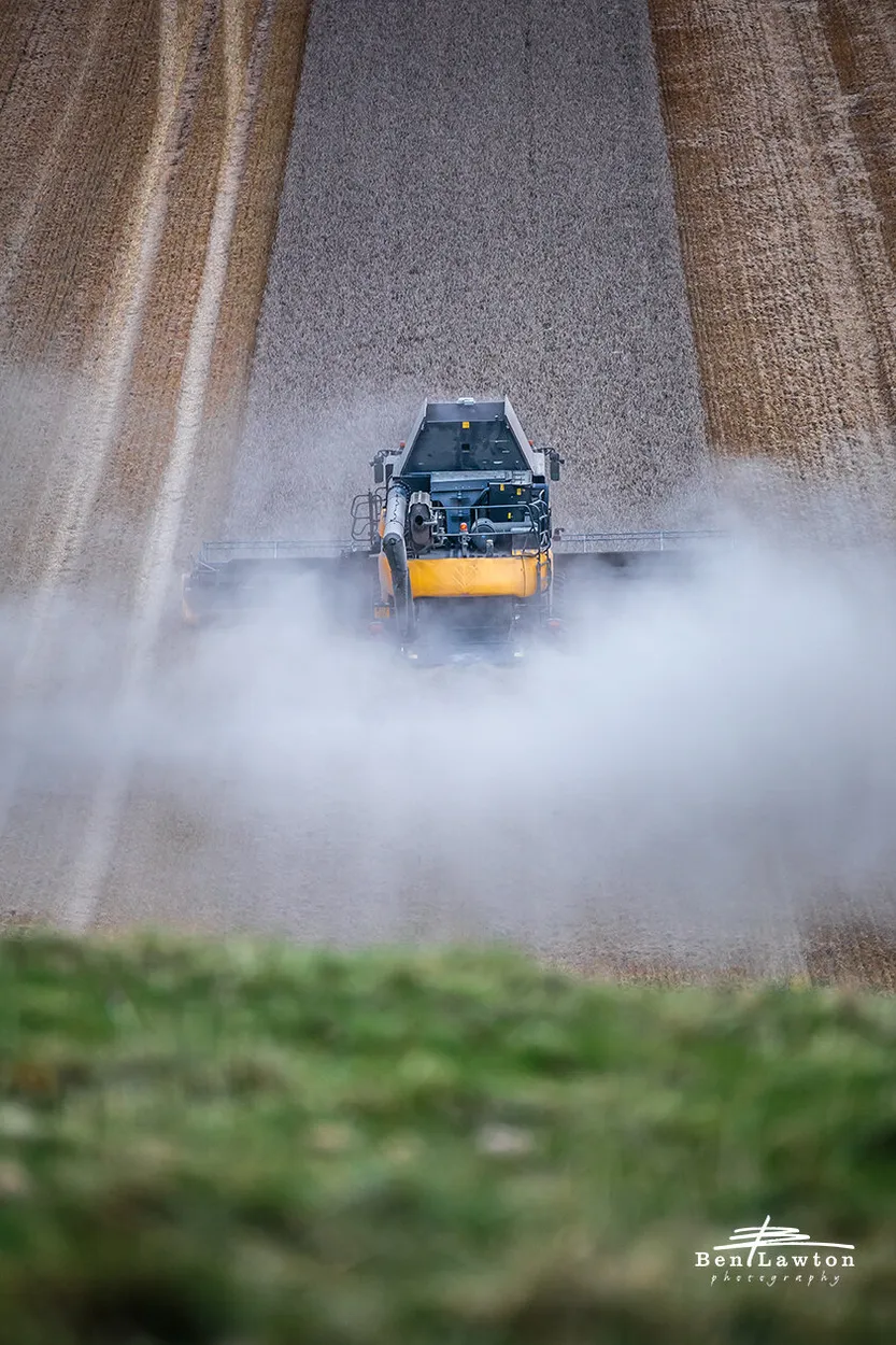 Entry 109770