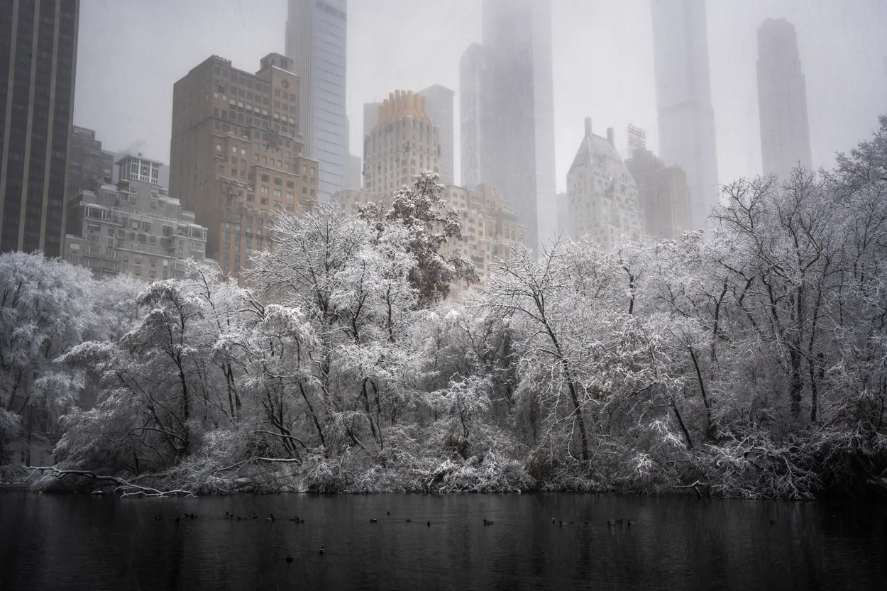 Central Park snow day