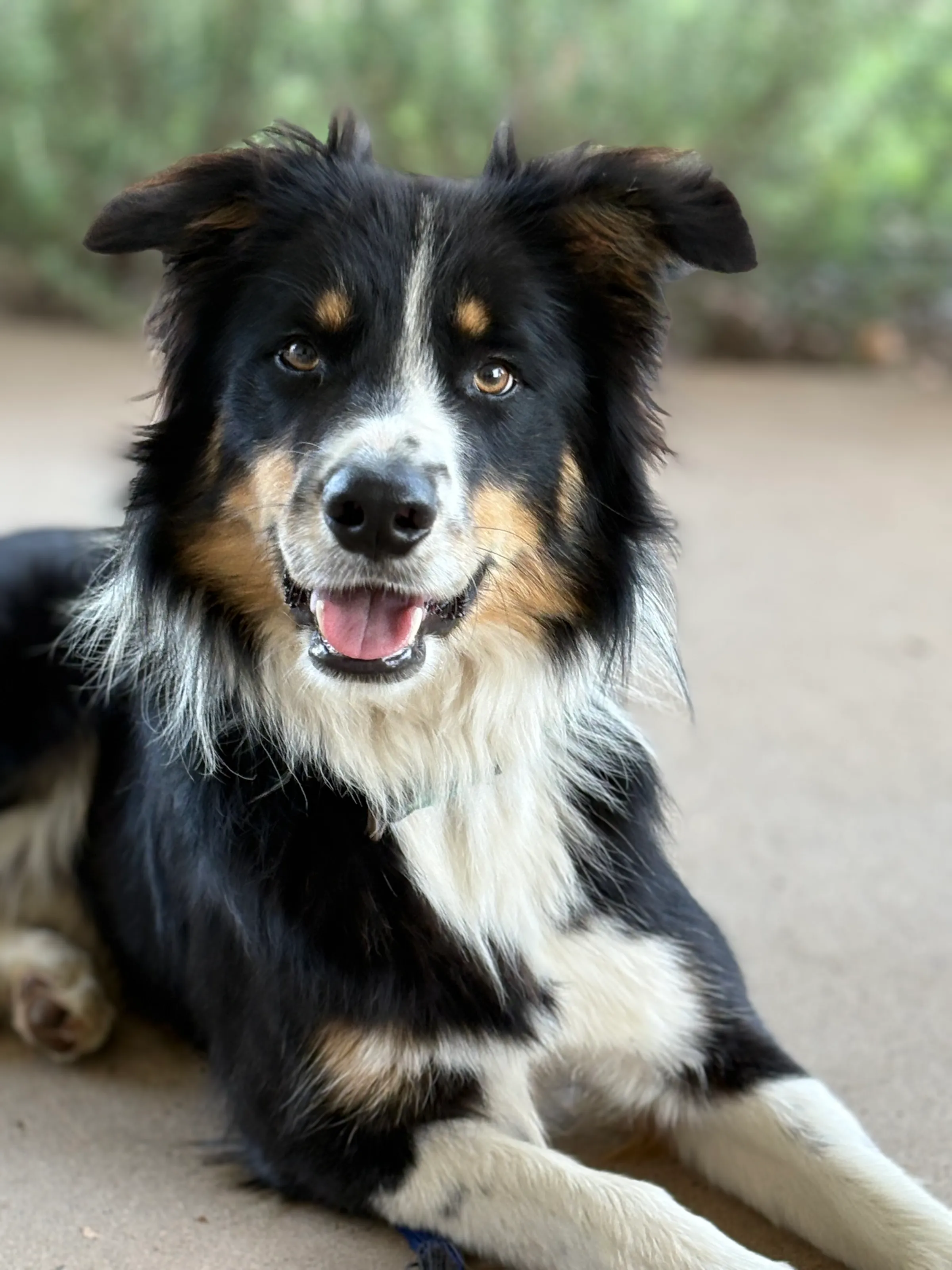 Jax