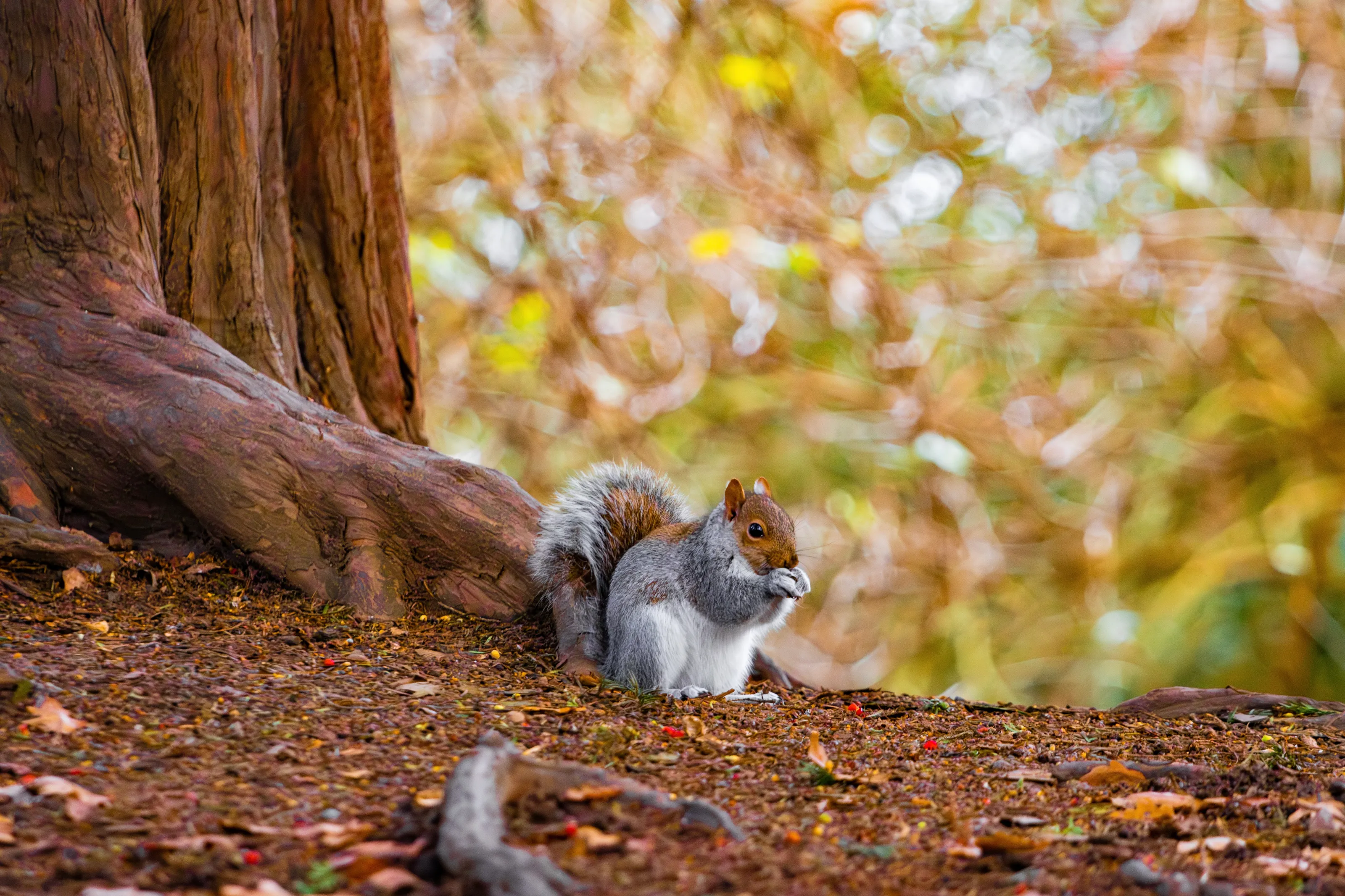 Preparing for Winter