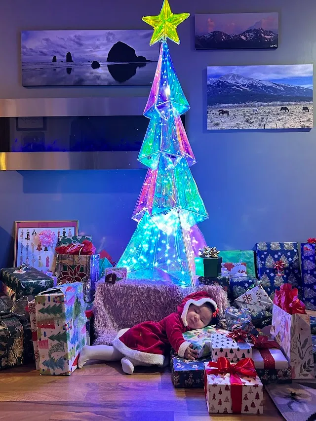 Banner image