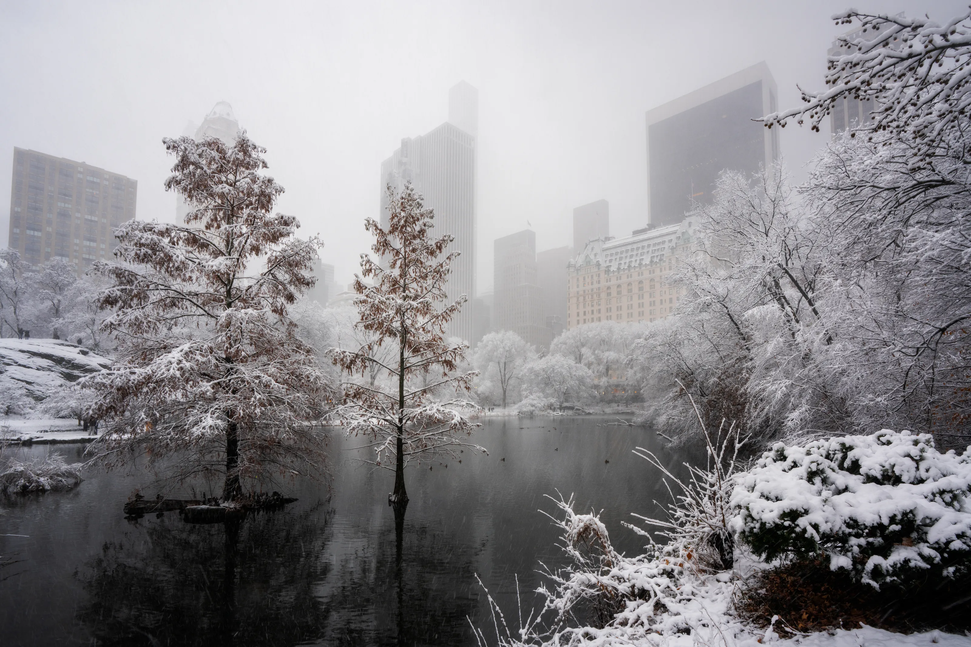 Central Park Snow