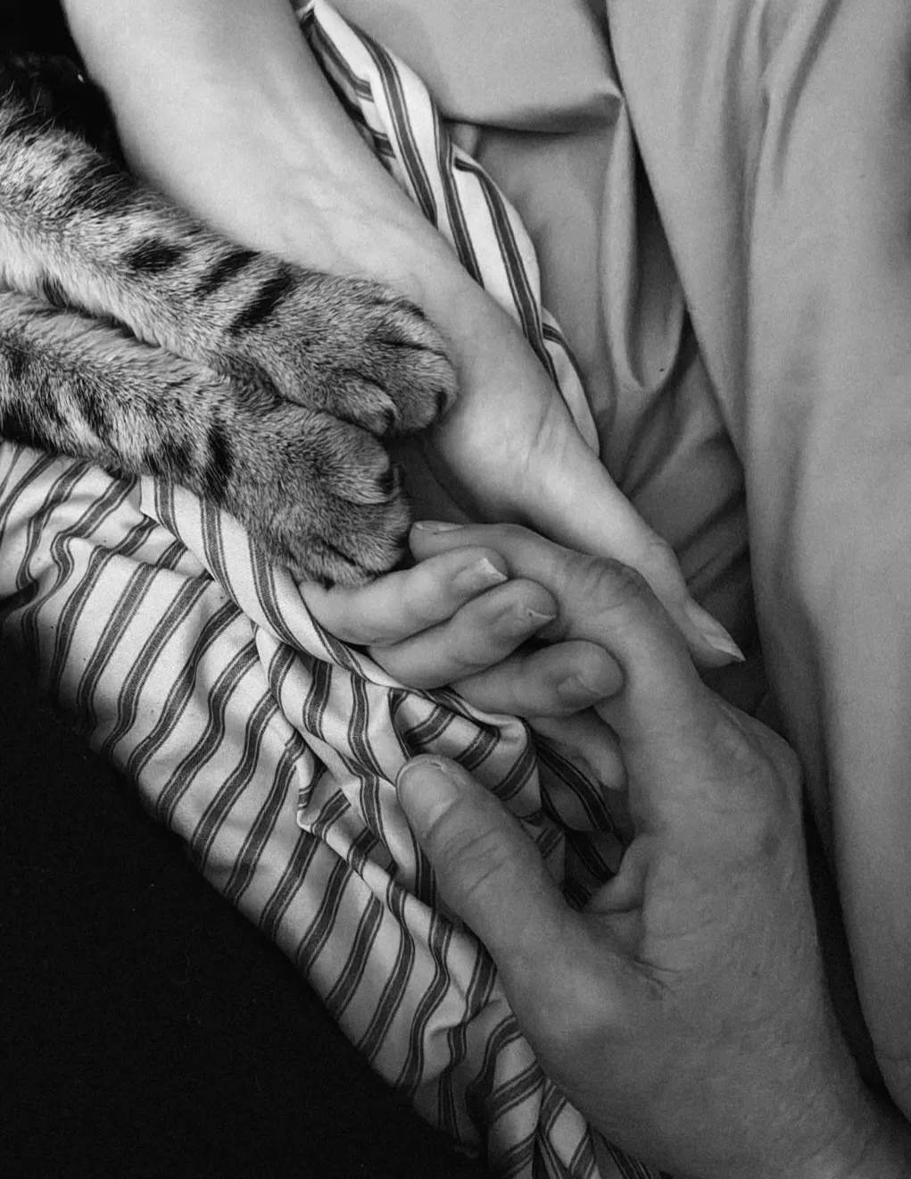 Hand Holding
