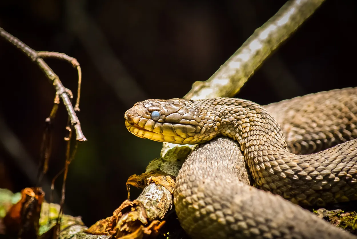 Entry 1438840