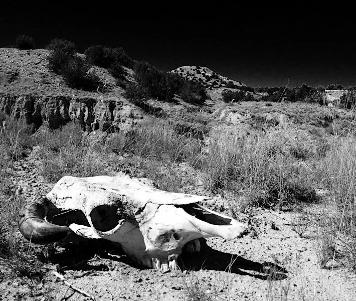 Desert Stories