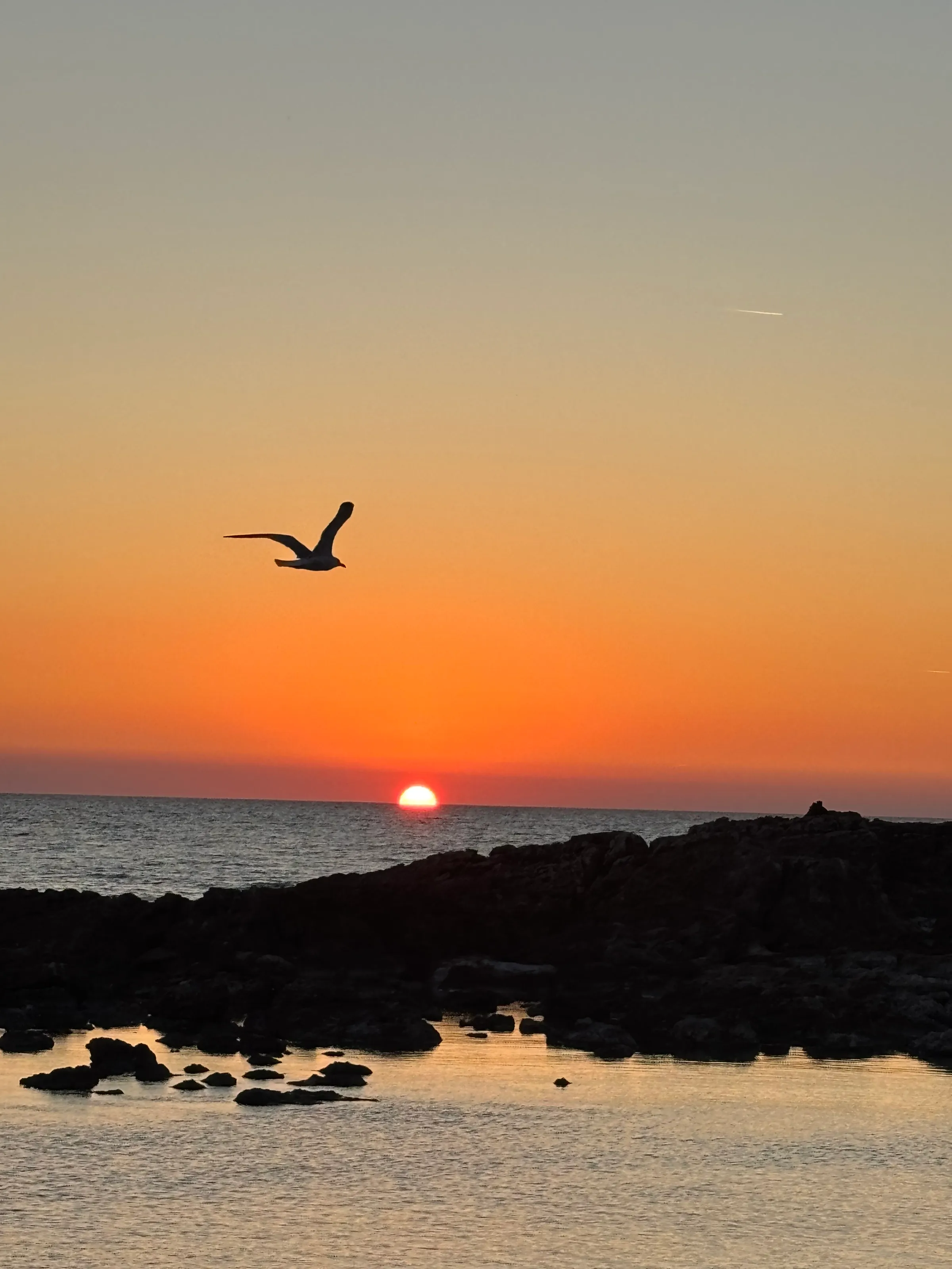 Sunset at the sea