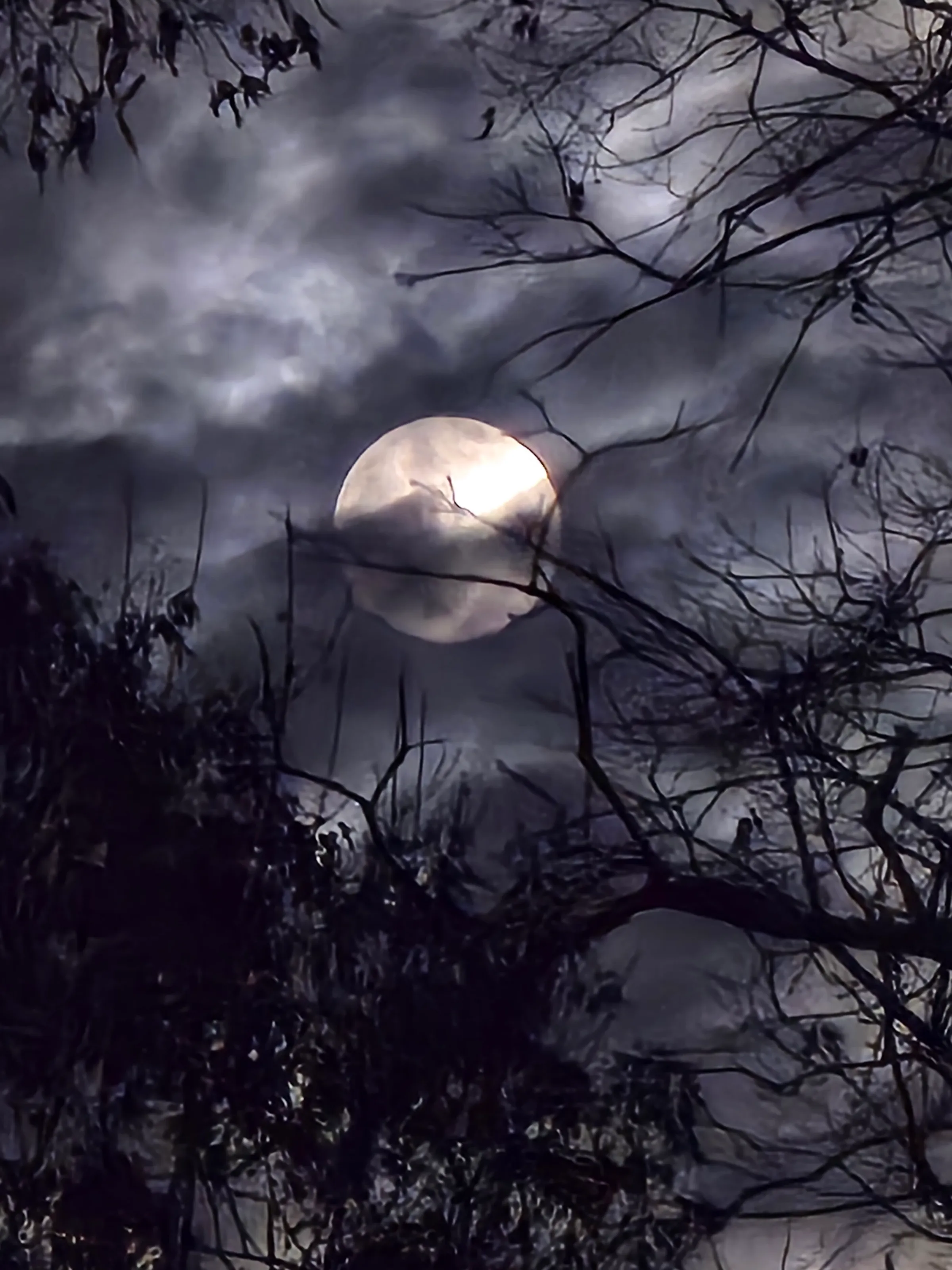 A cloudy night