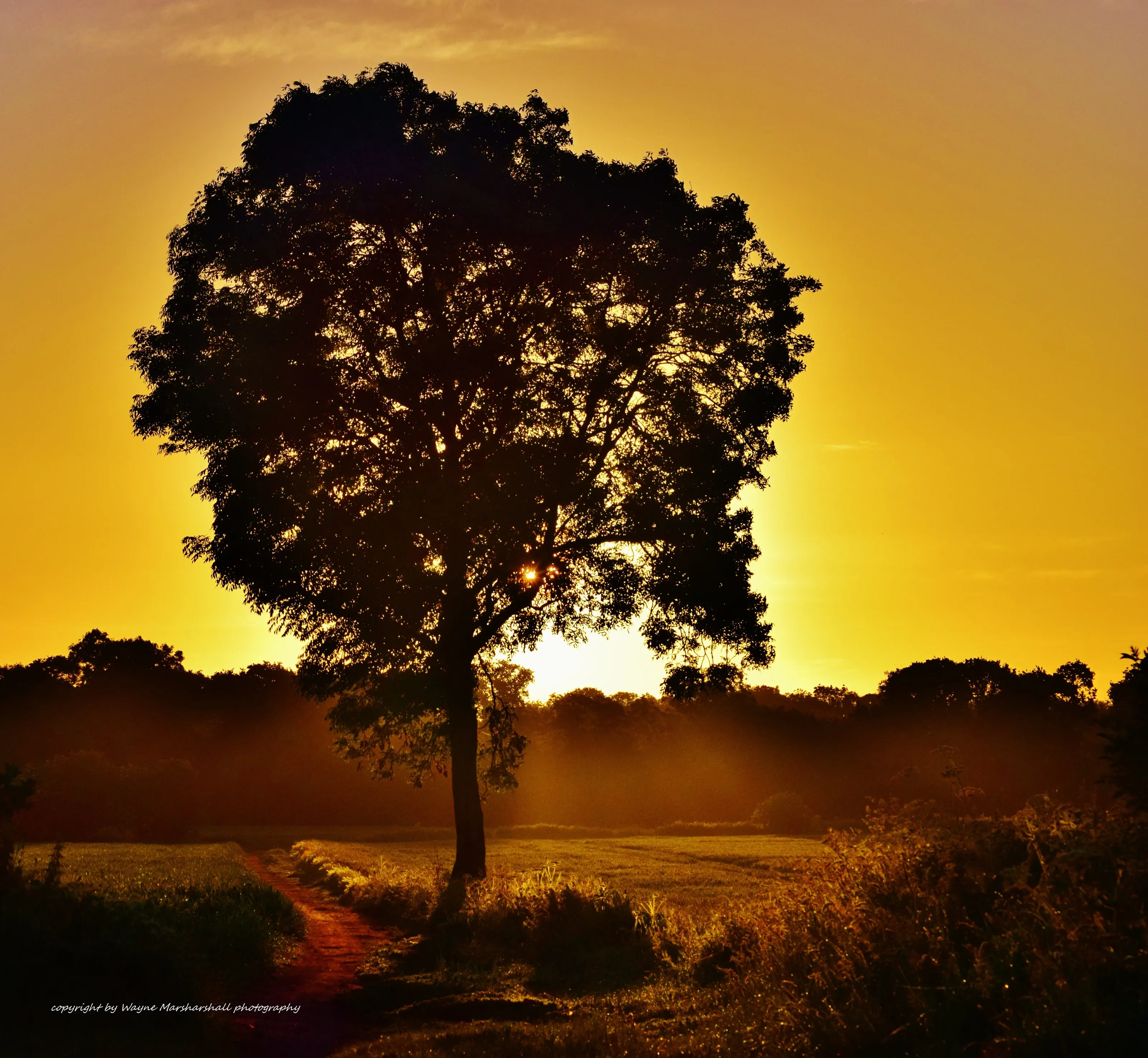 In the early morning sun
