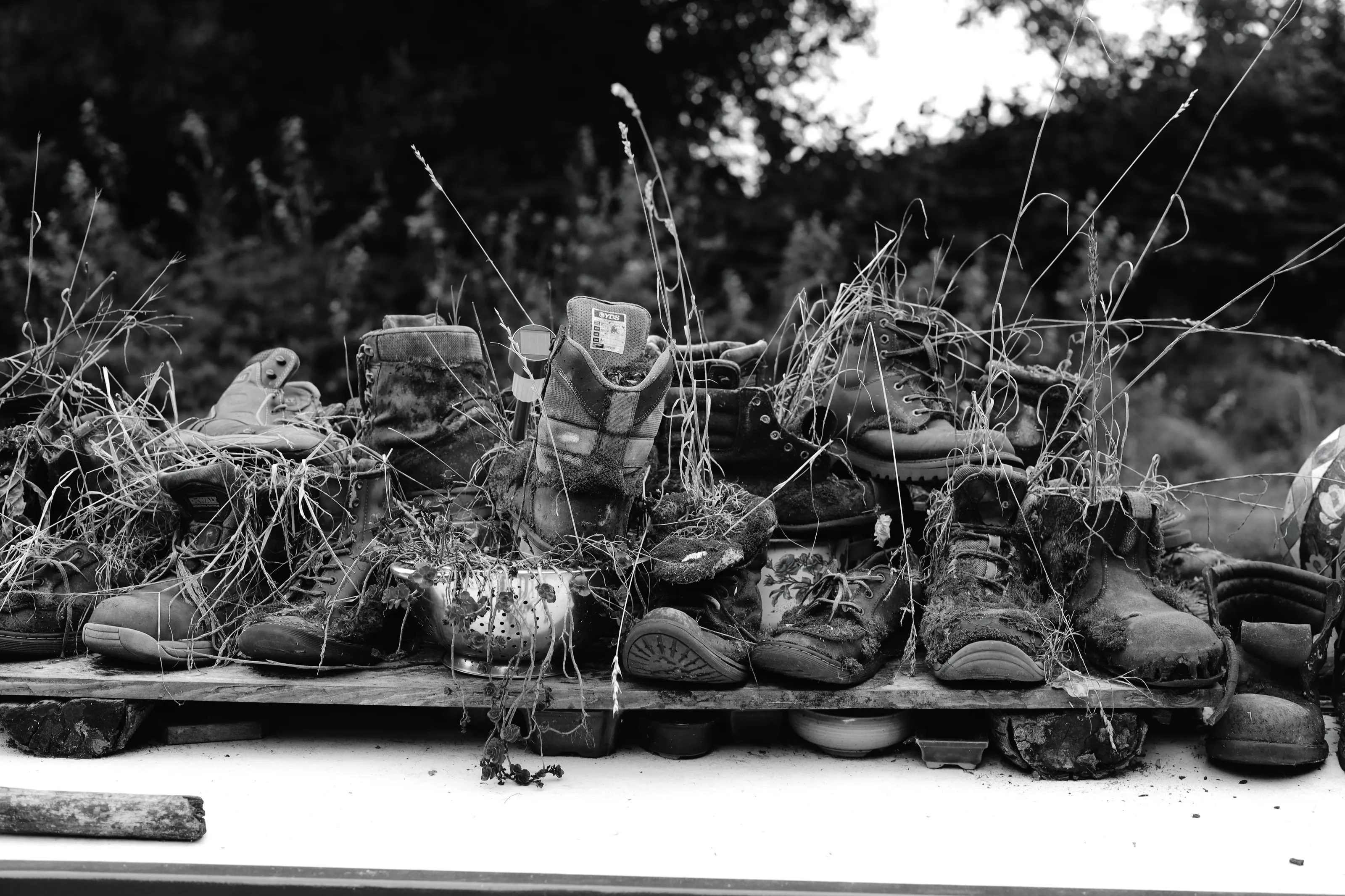 Overgrown old boots