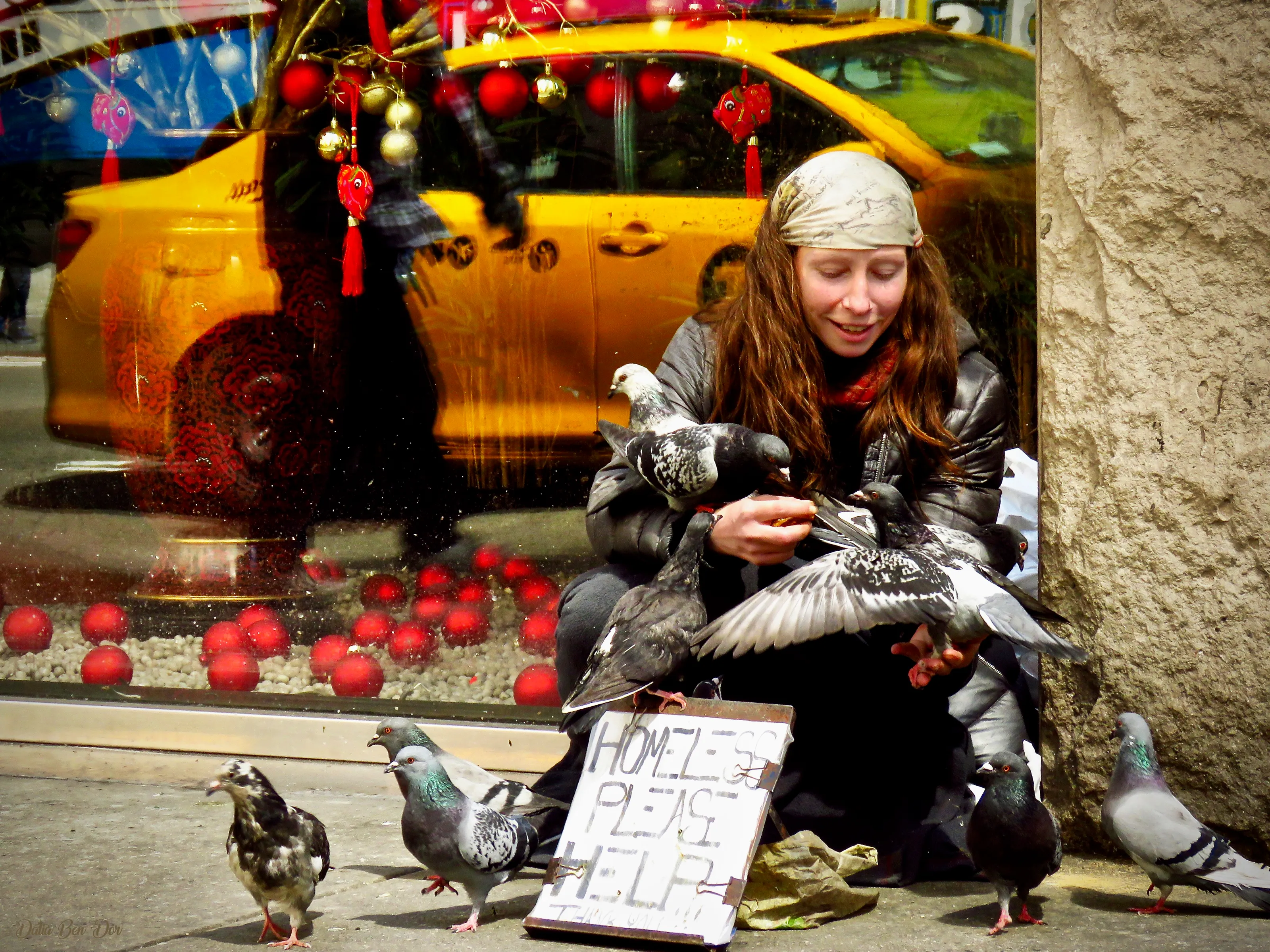 The PigeonWhisperer
