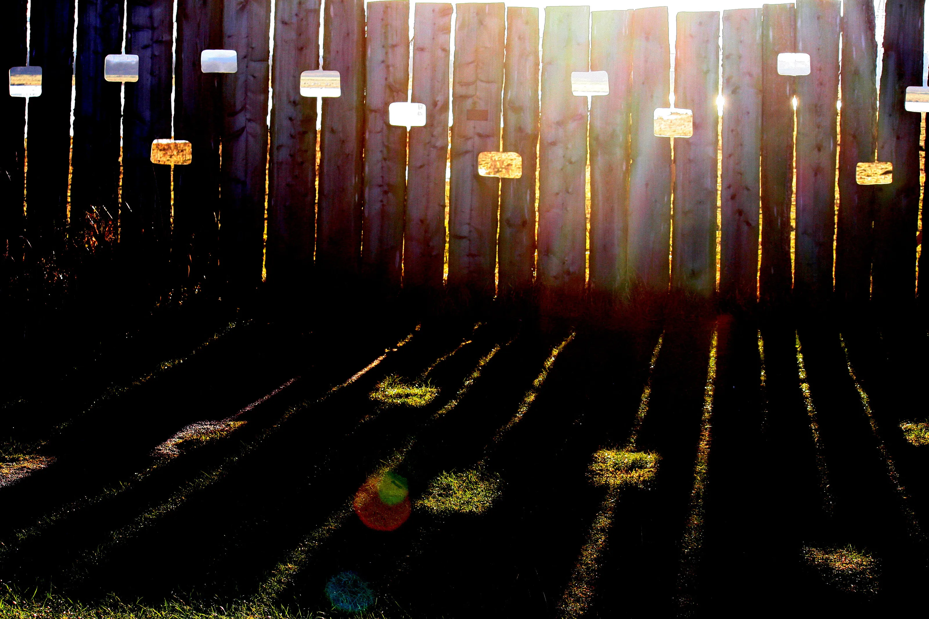 Fence
