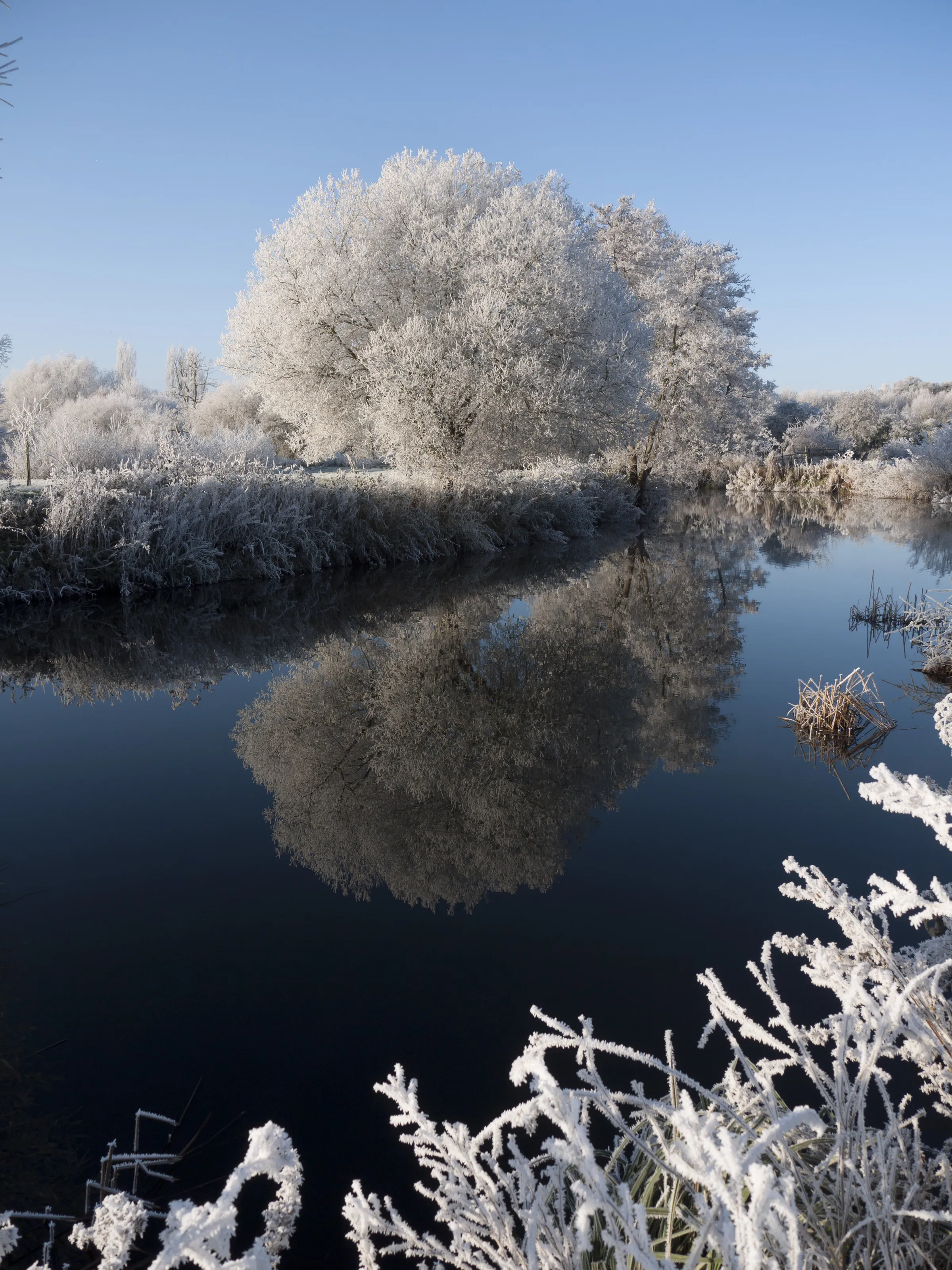 Frosty River Arrow