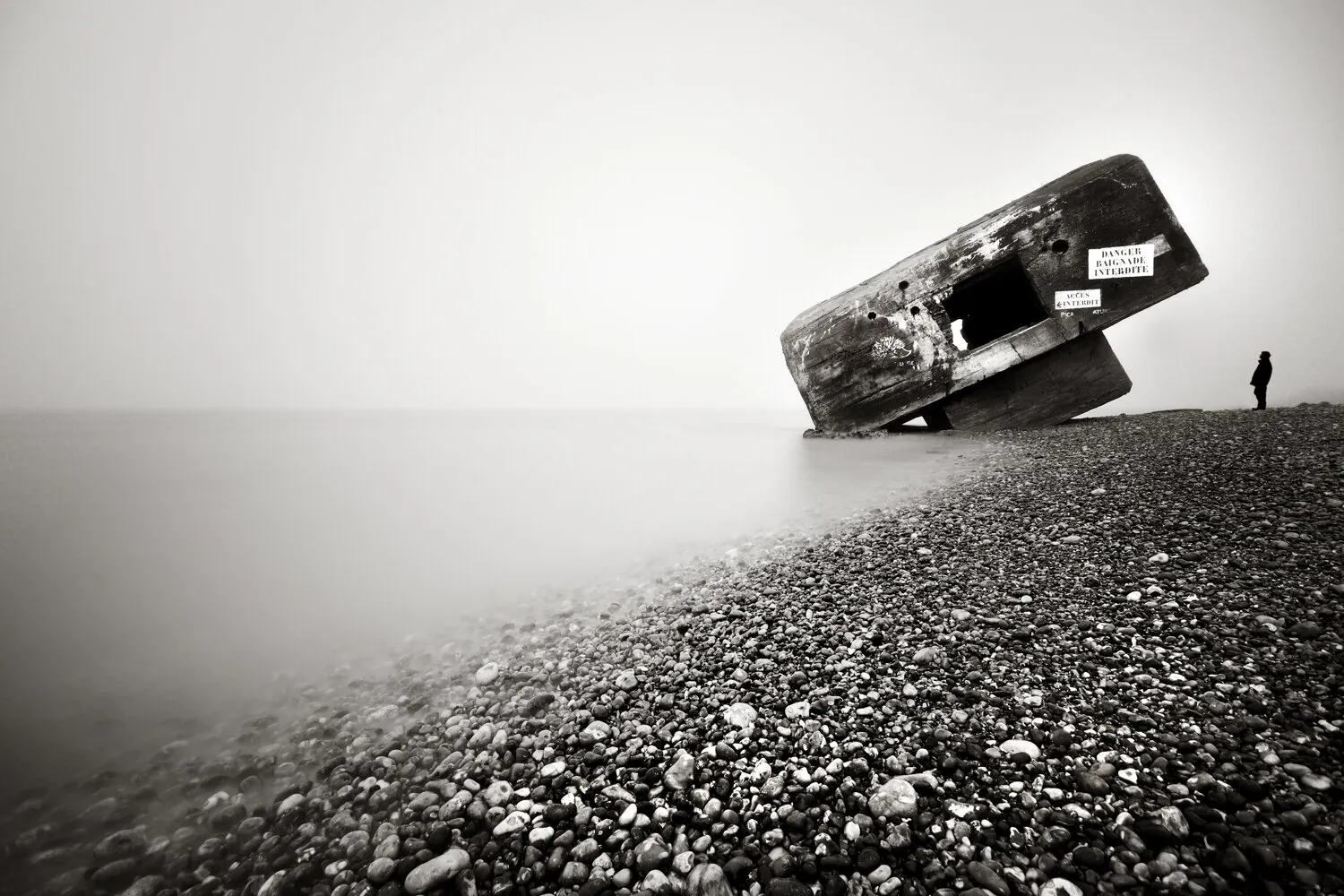 Fallen Giant