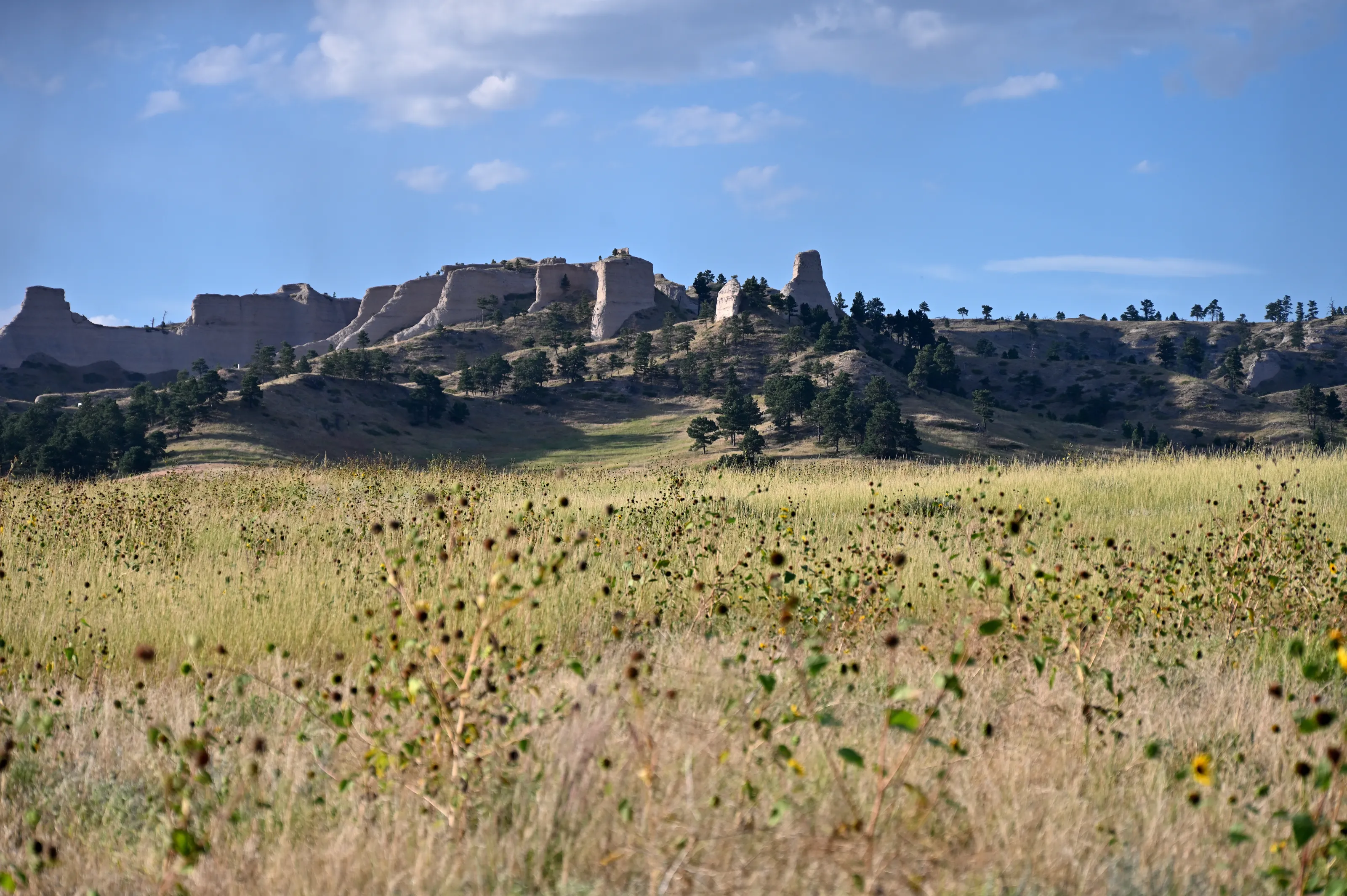 Wide Horizons with Rocky Terrain