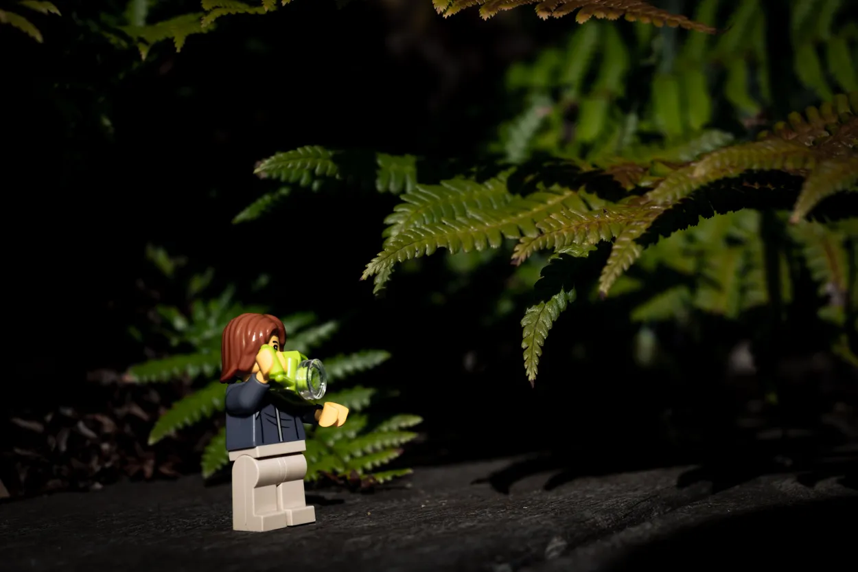 Entry 26982106