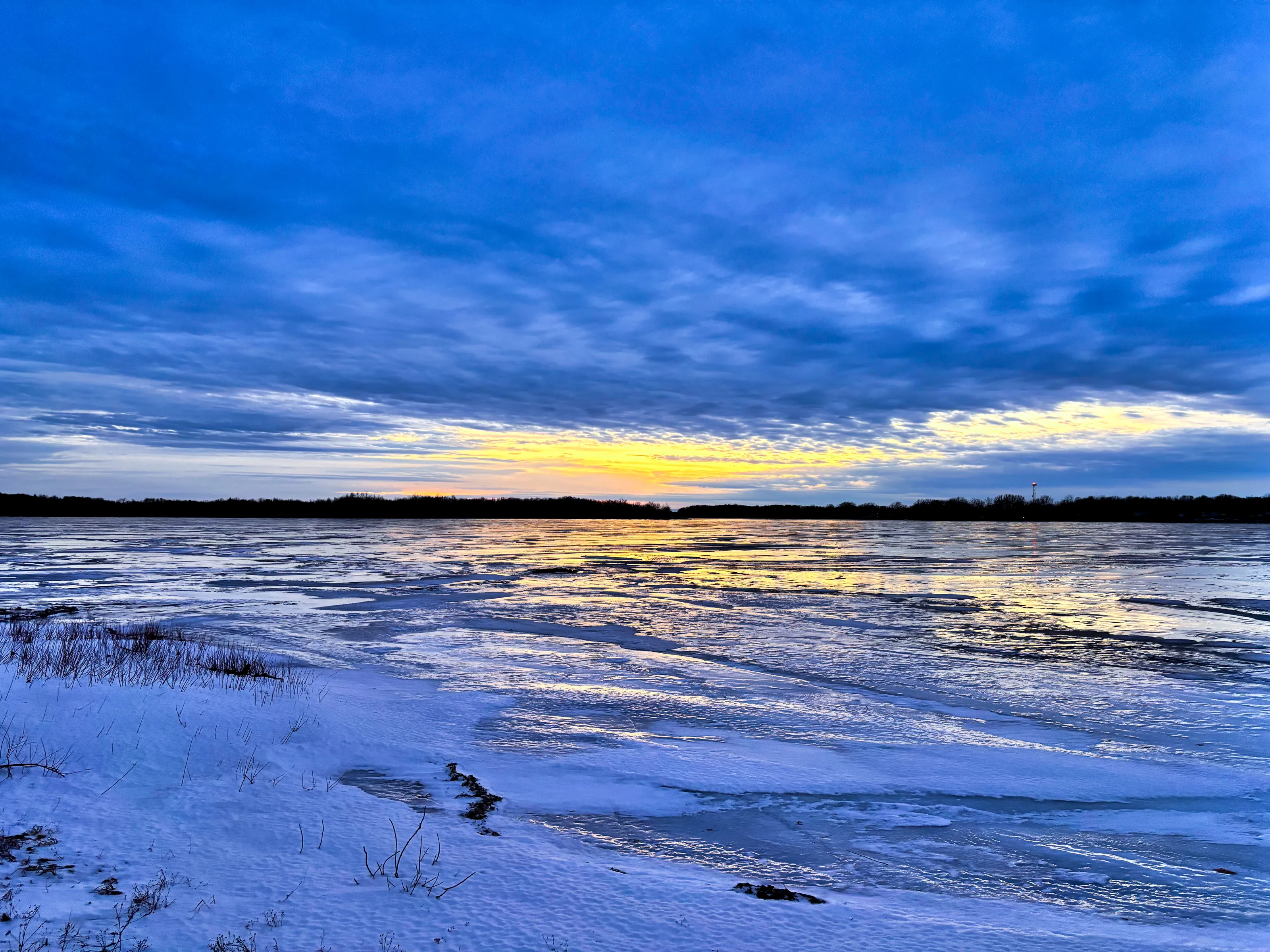 Frozen