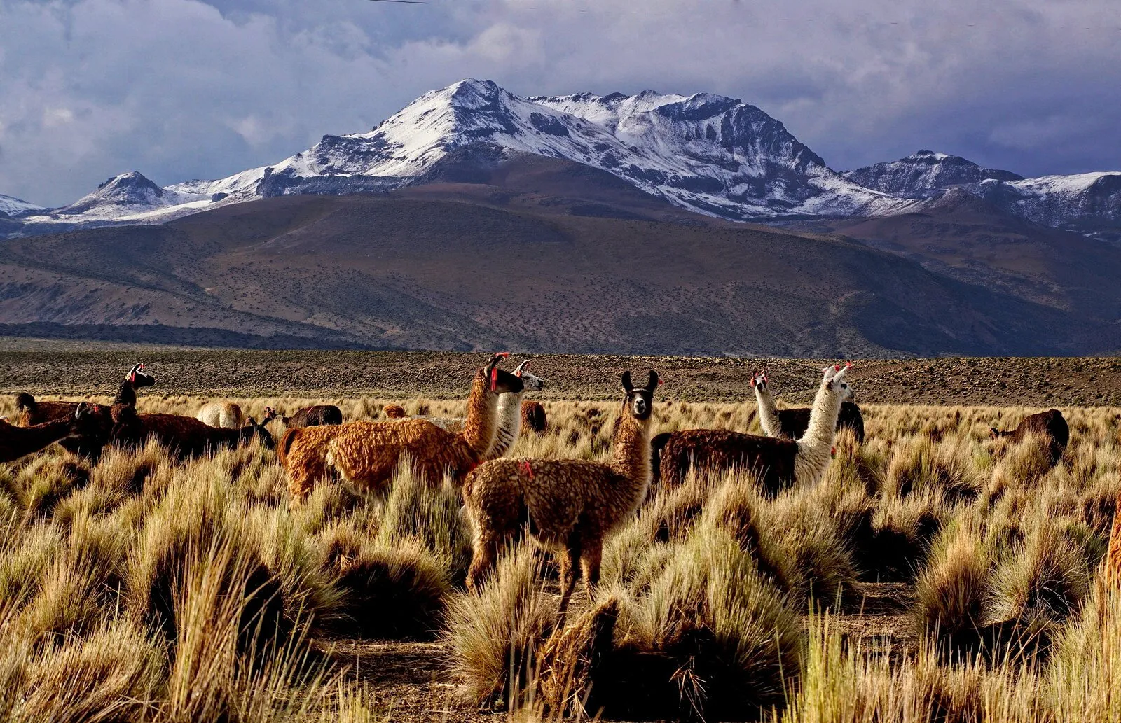 Bolivia