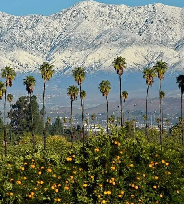 CORONASKYLINE