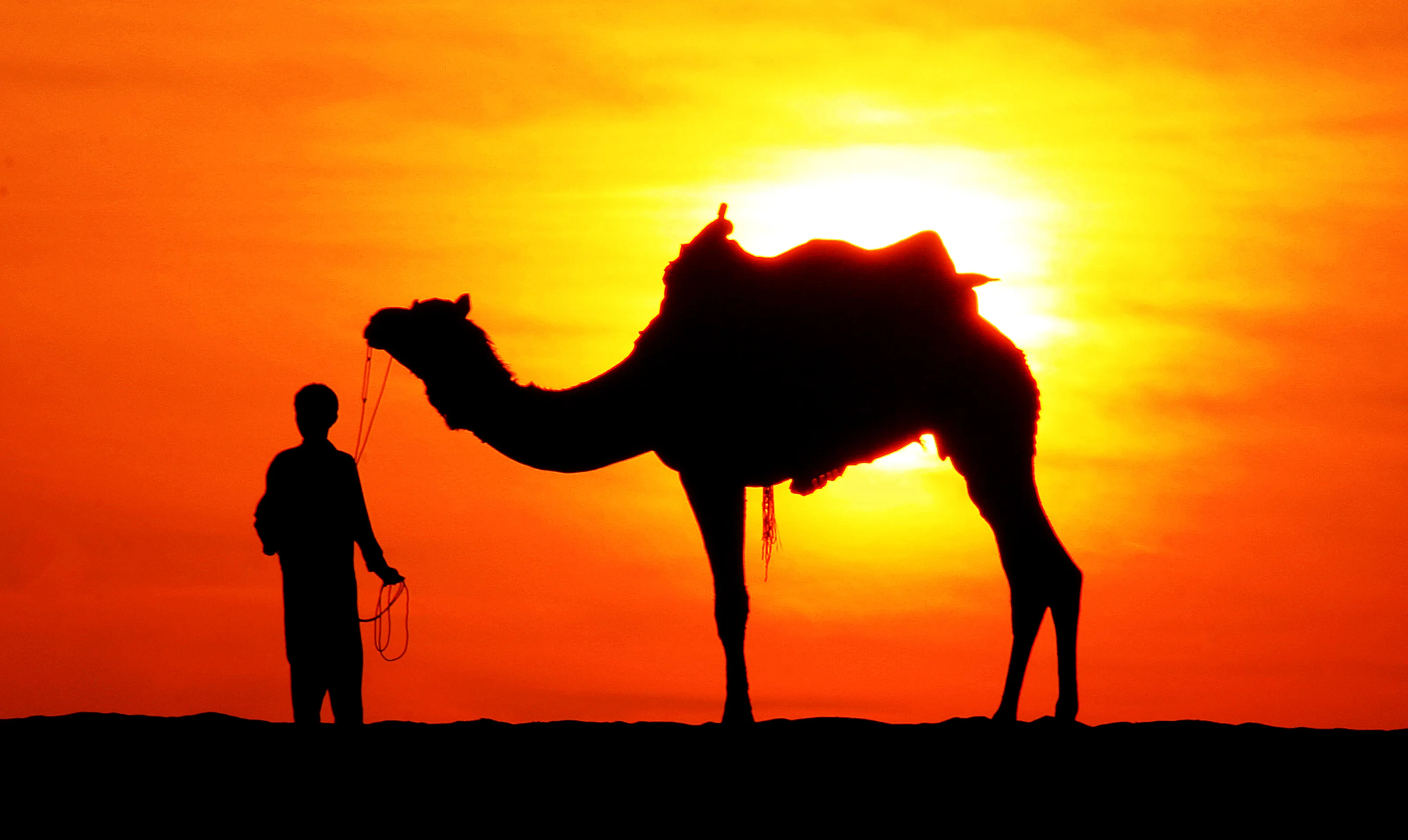 Colors of Jaisalmer