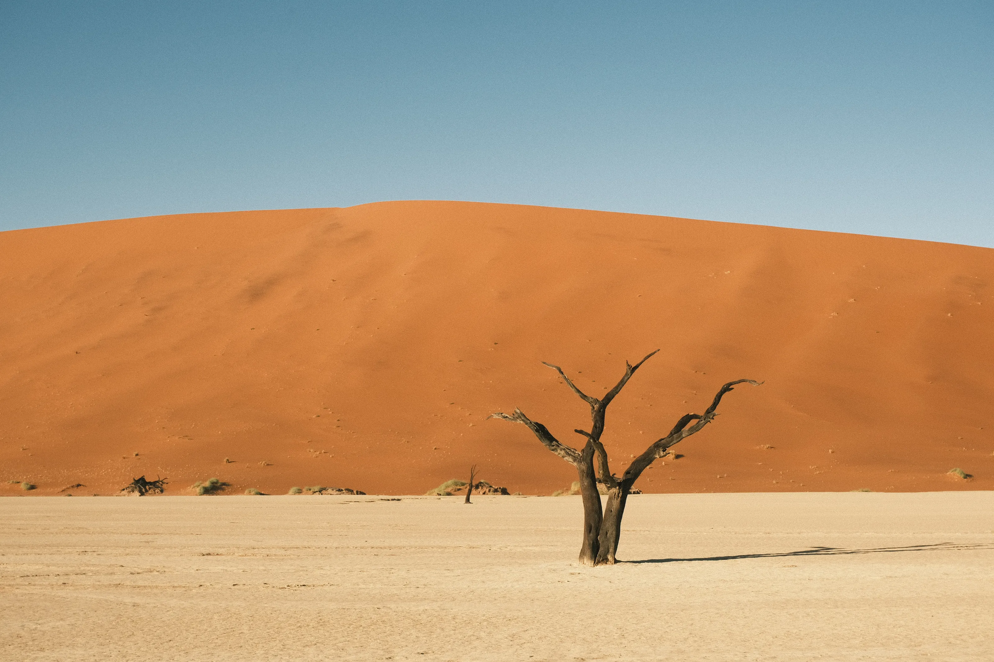 Deadvlei Namibia