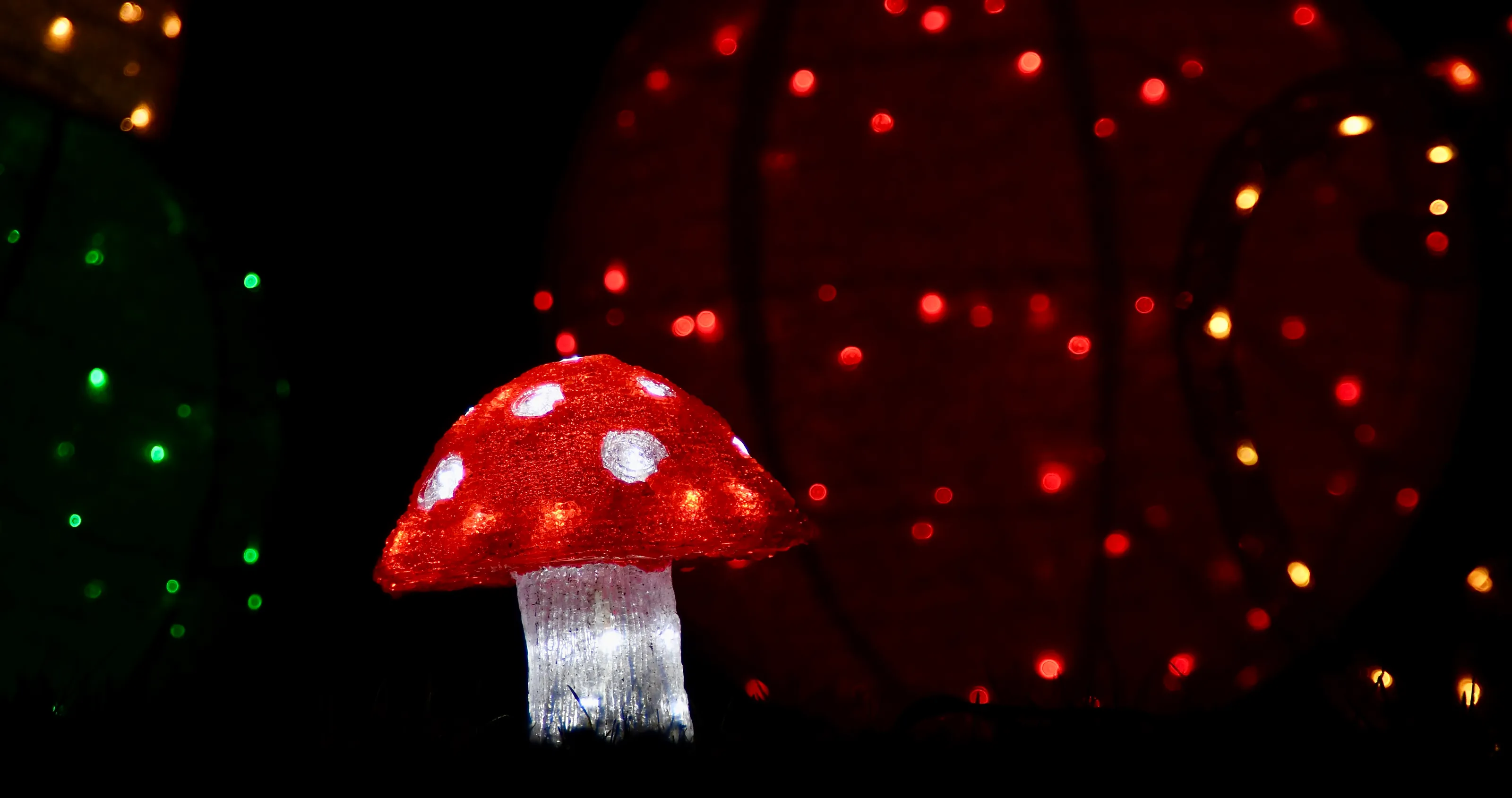 Magic Mushroom